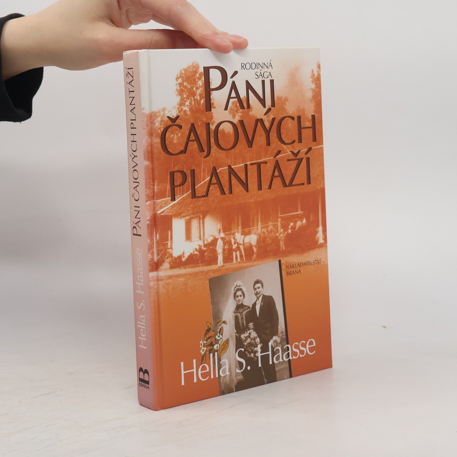 Hella Haasse Páni čajových plantáží