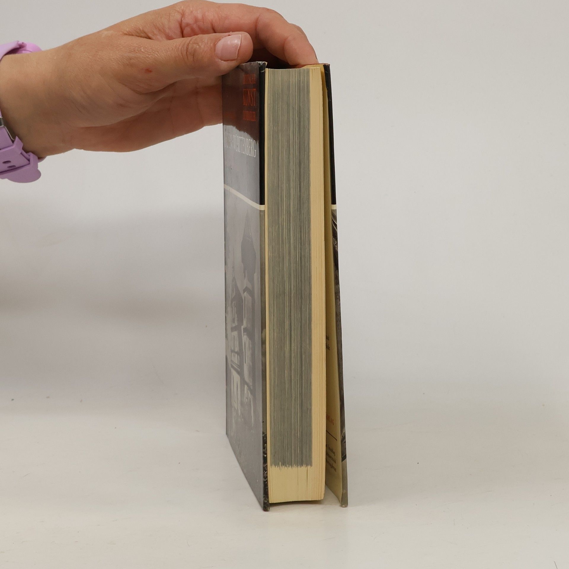 Autores varios Deutsche Kunstdenkmäler. Baden-Württemberg