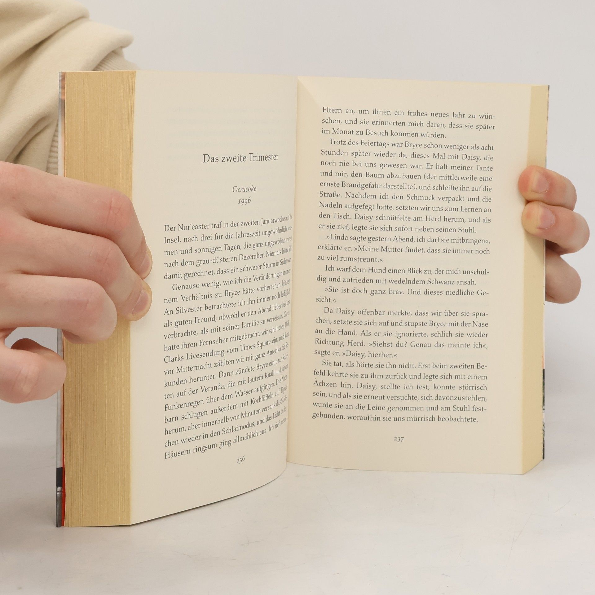 Nicholas Sparks Mein letzter Wunsch