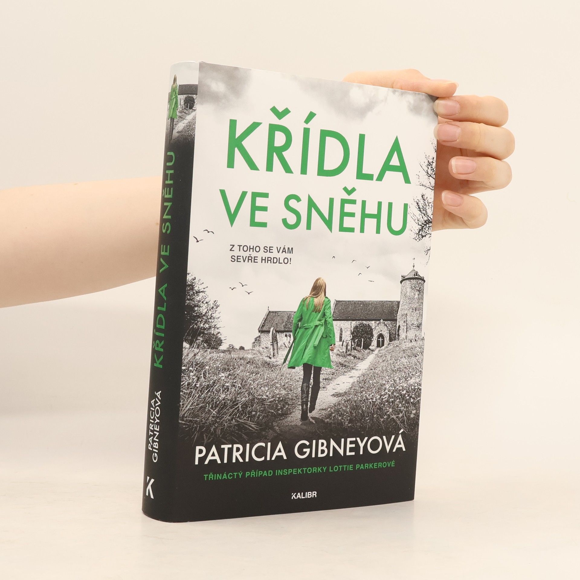 Patricia Gibney Křídla ve sněhu