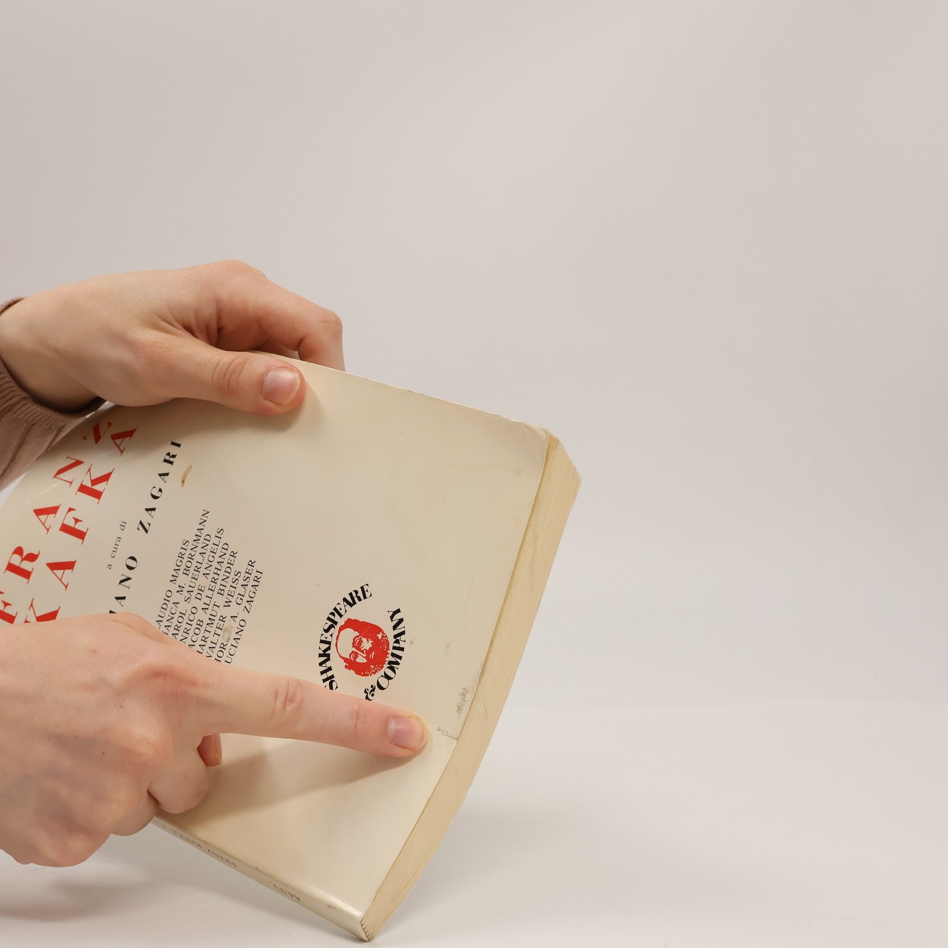 Luciano Zagari Franz Kafka a cura di L. Zagari