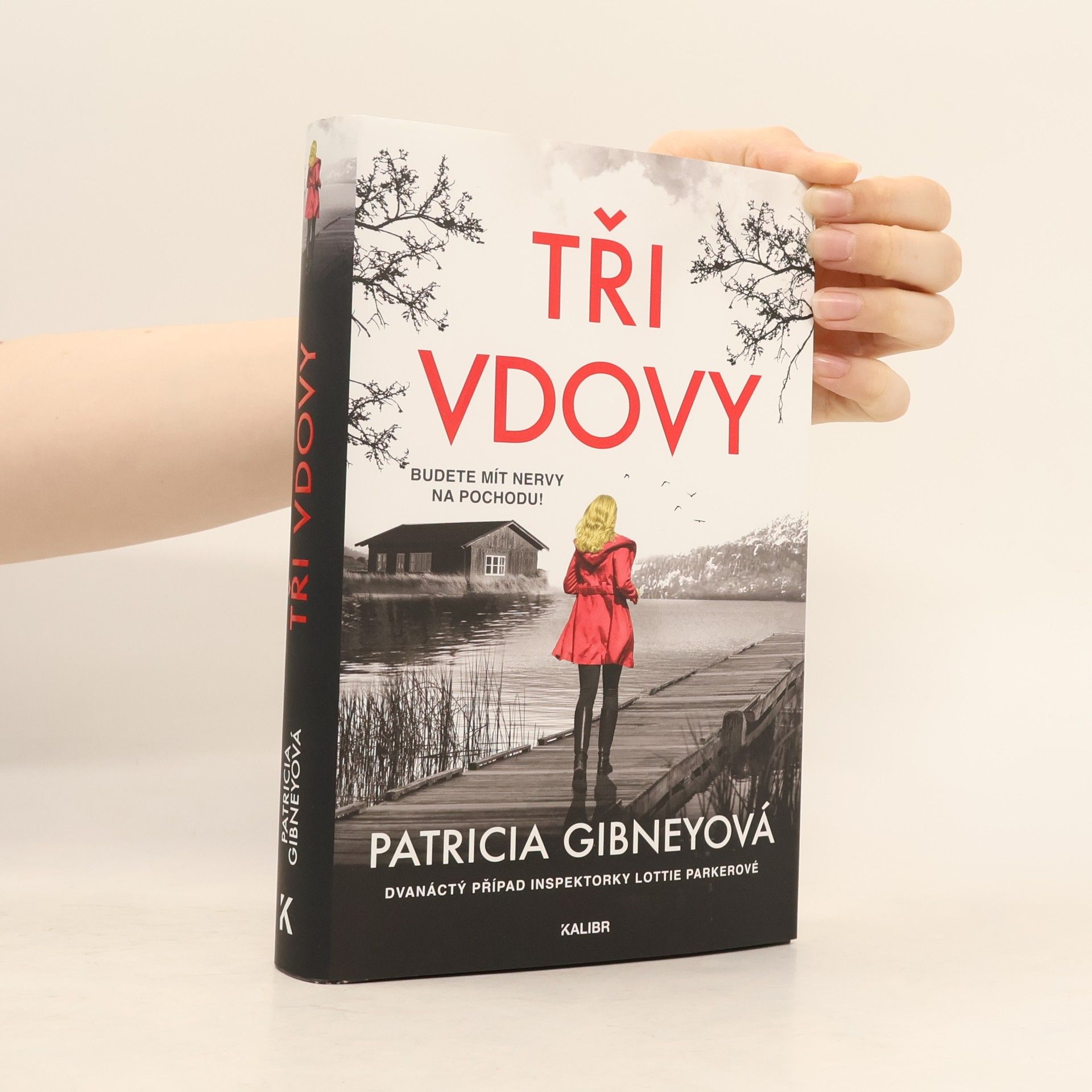 Patricia Gibney Tři vdovy