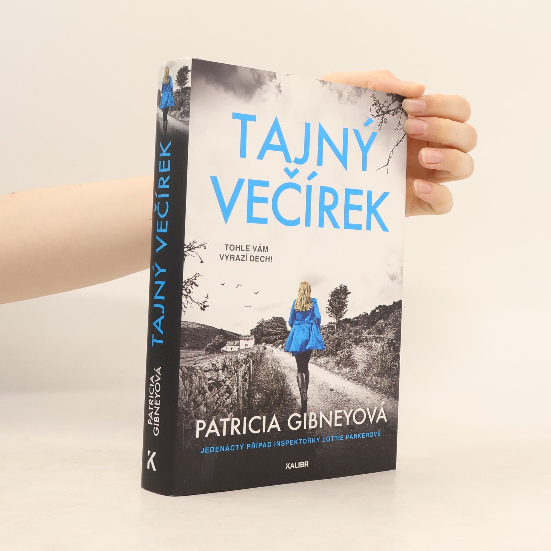 Tajný večírek