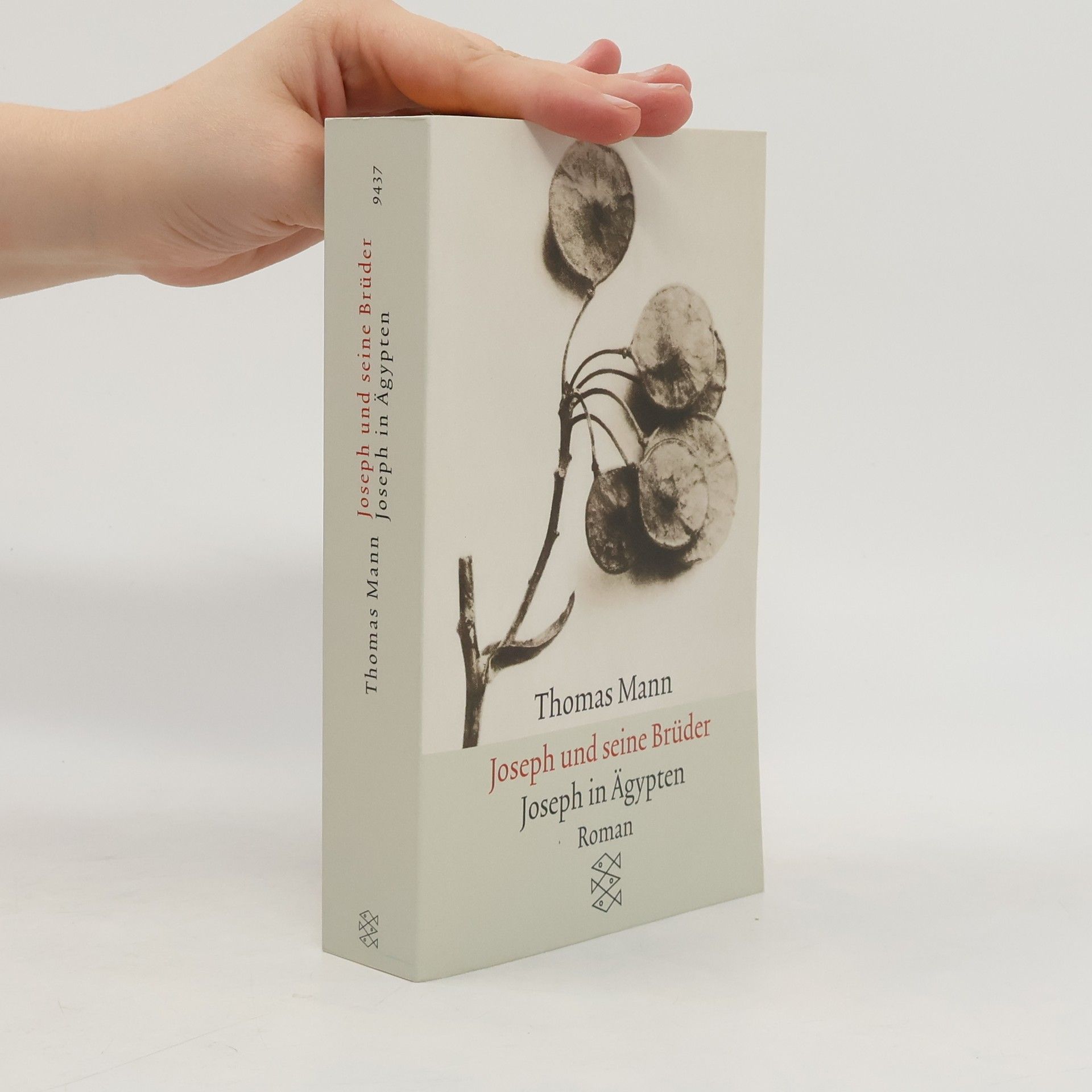 Thomas Mann Joseph und seine Brüder