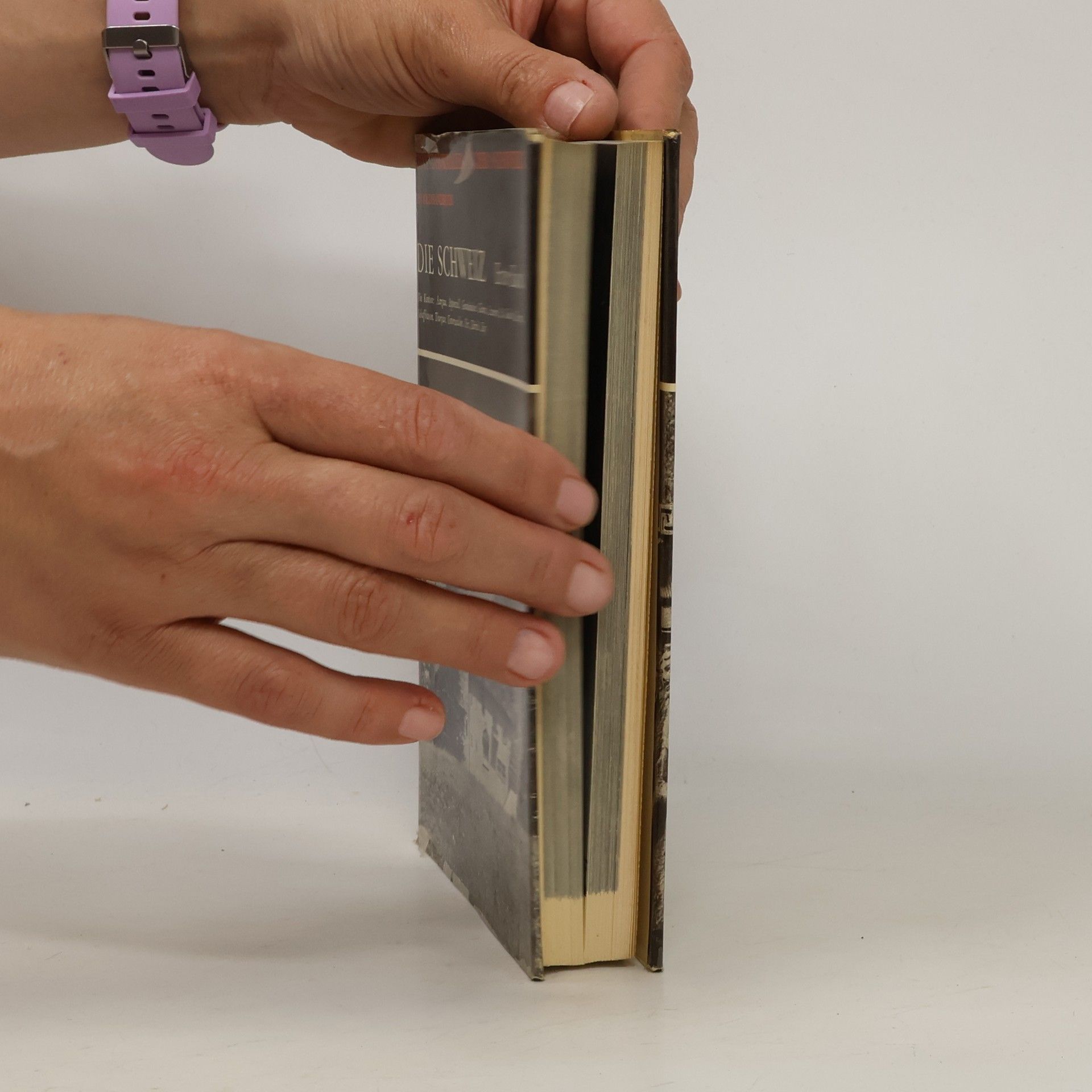 Reinhardt Hootz Kunstdenkmäler in der Schweiz : ein Bildhandbuch. Erster Band