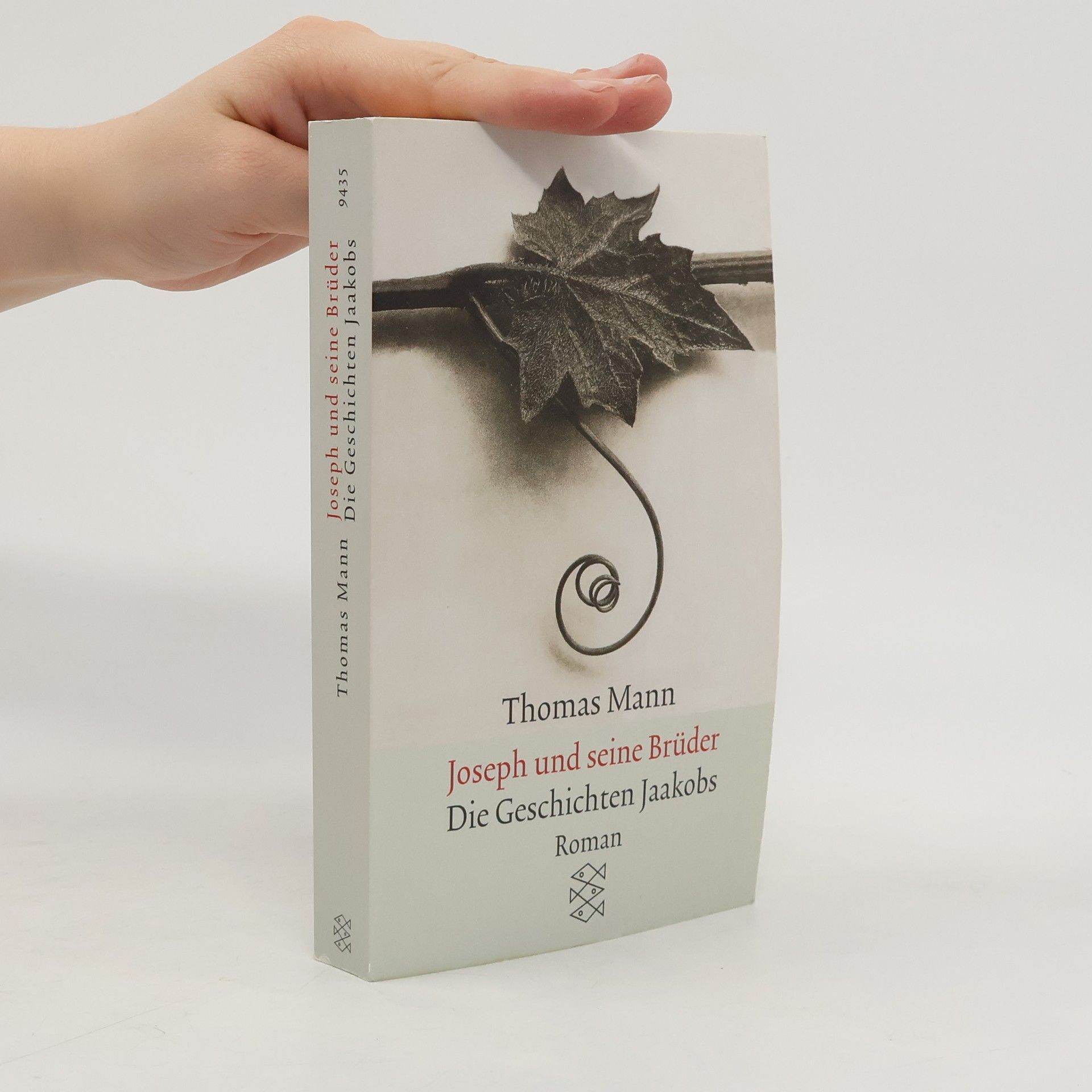 Thomas Mann Joseph und seine Brüder