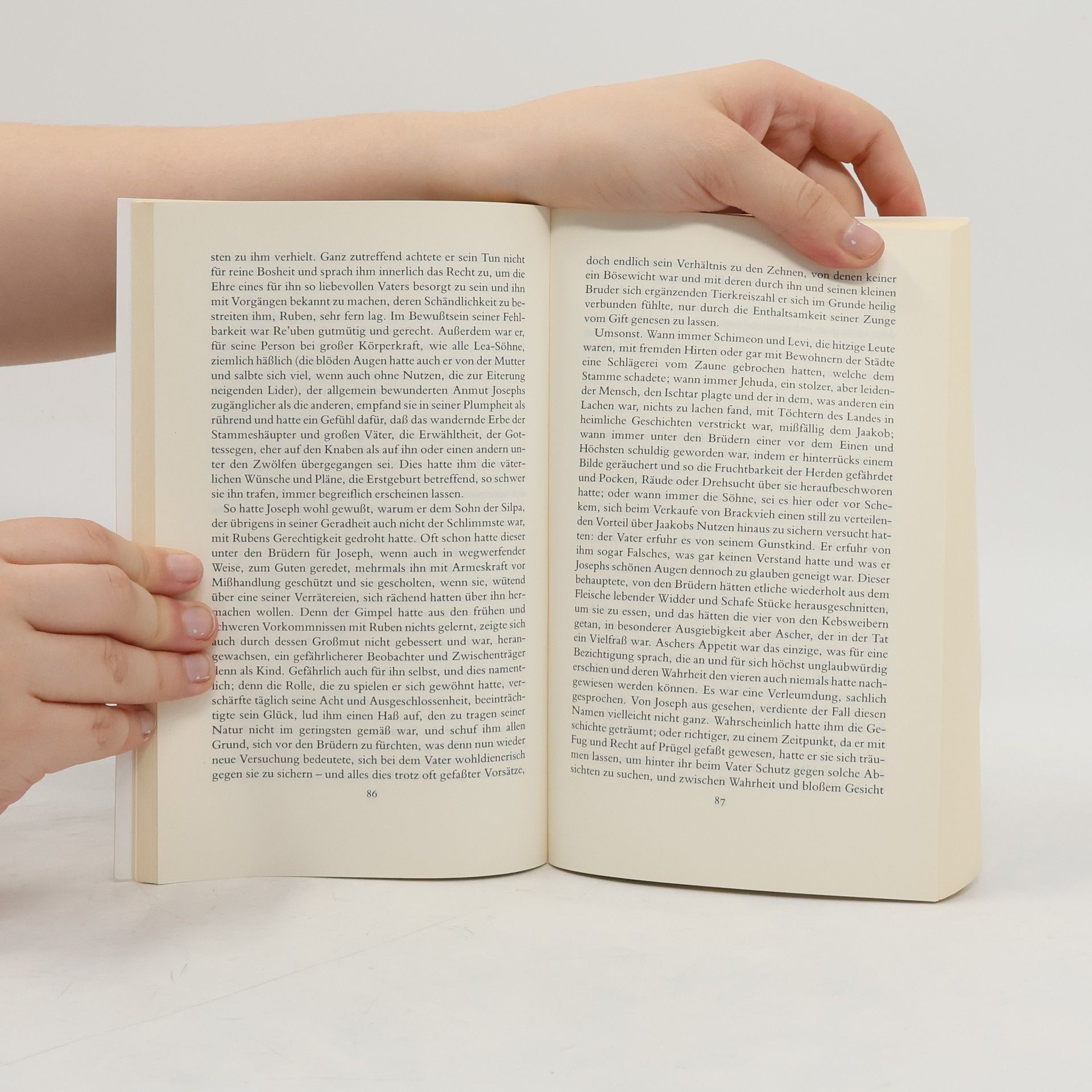 Thomas Mann Joseph und seine Brüder
