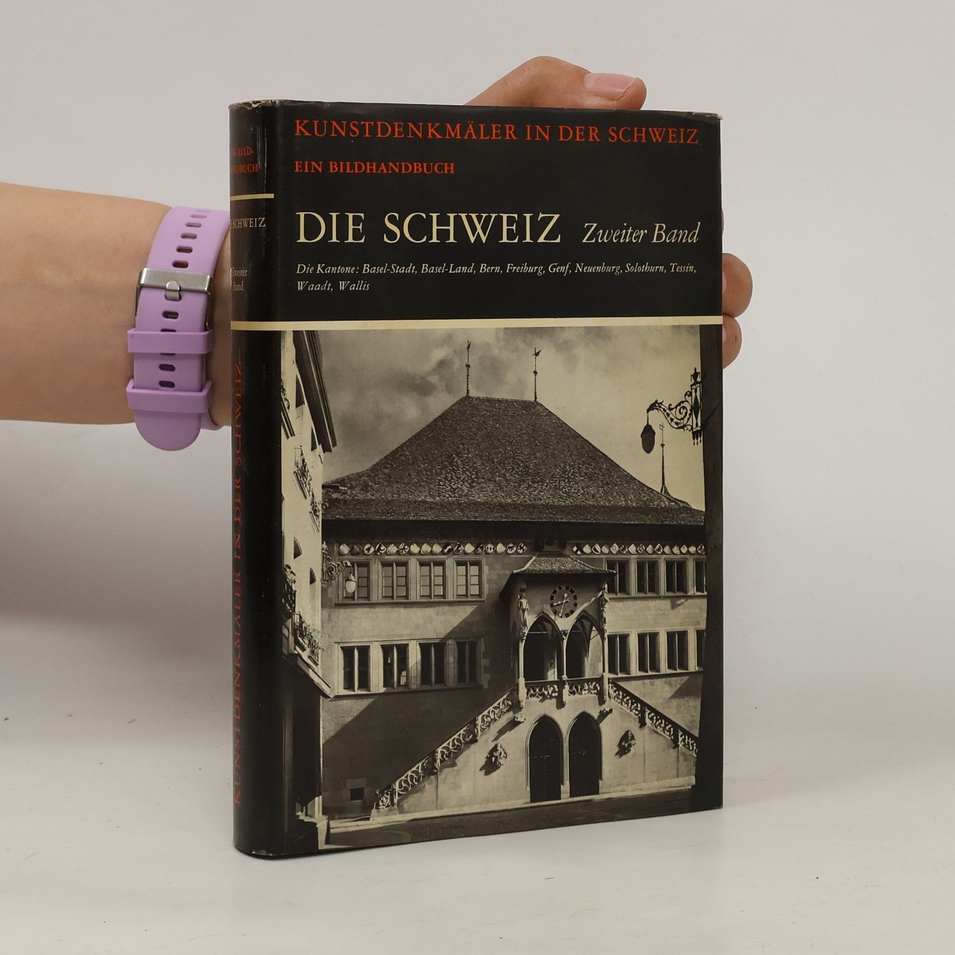 Autores varios Die Kunstdenkmäler der Schweiz. Zweiter band
