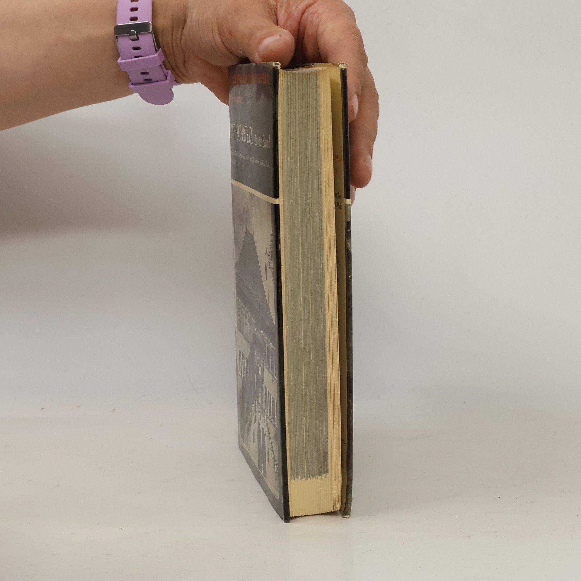 Autores varios Die Kunstdenkmäler der Schweiz. Zweiter band