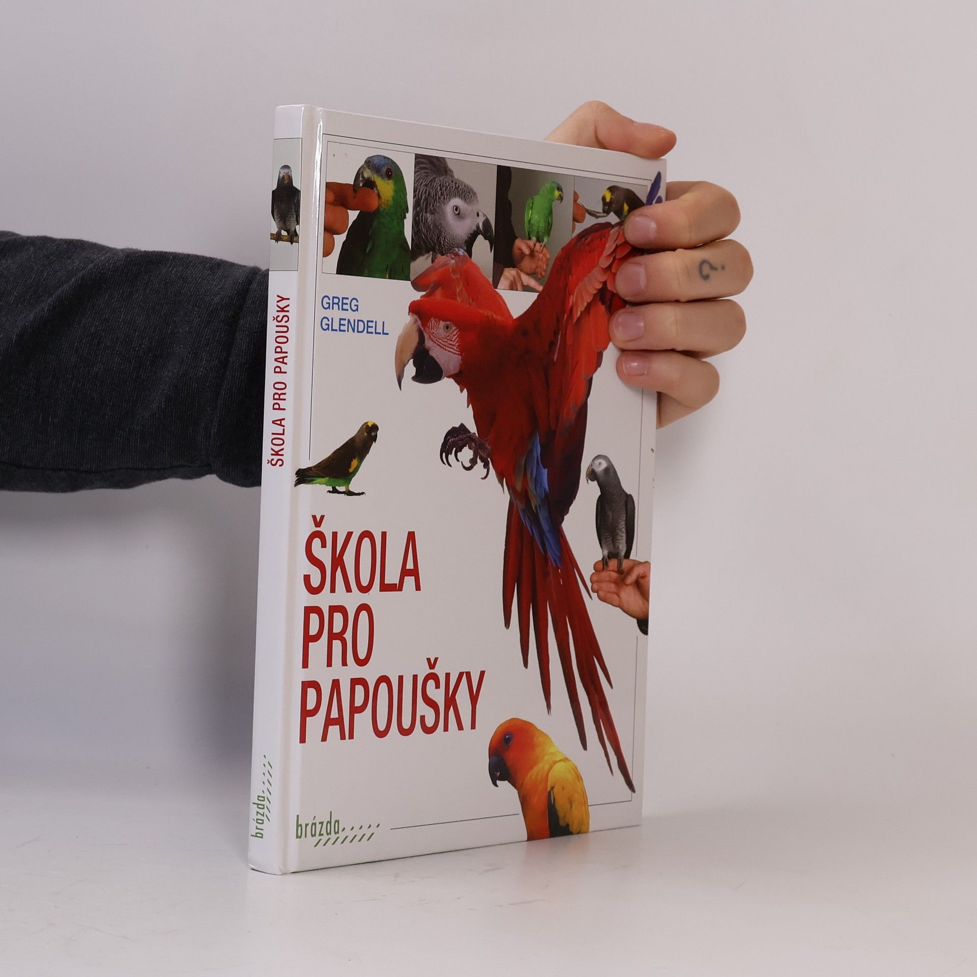 Greg Glendell Škola pro papoušky