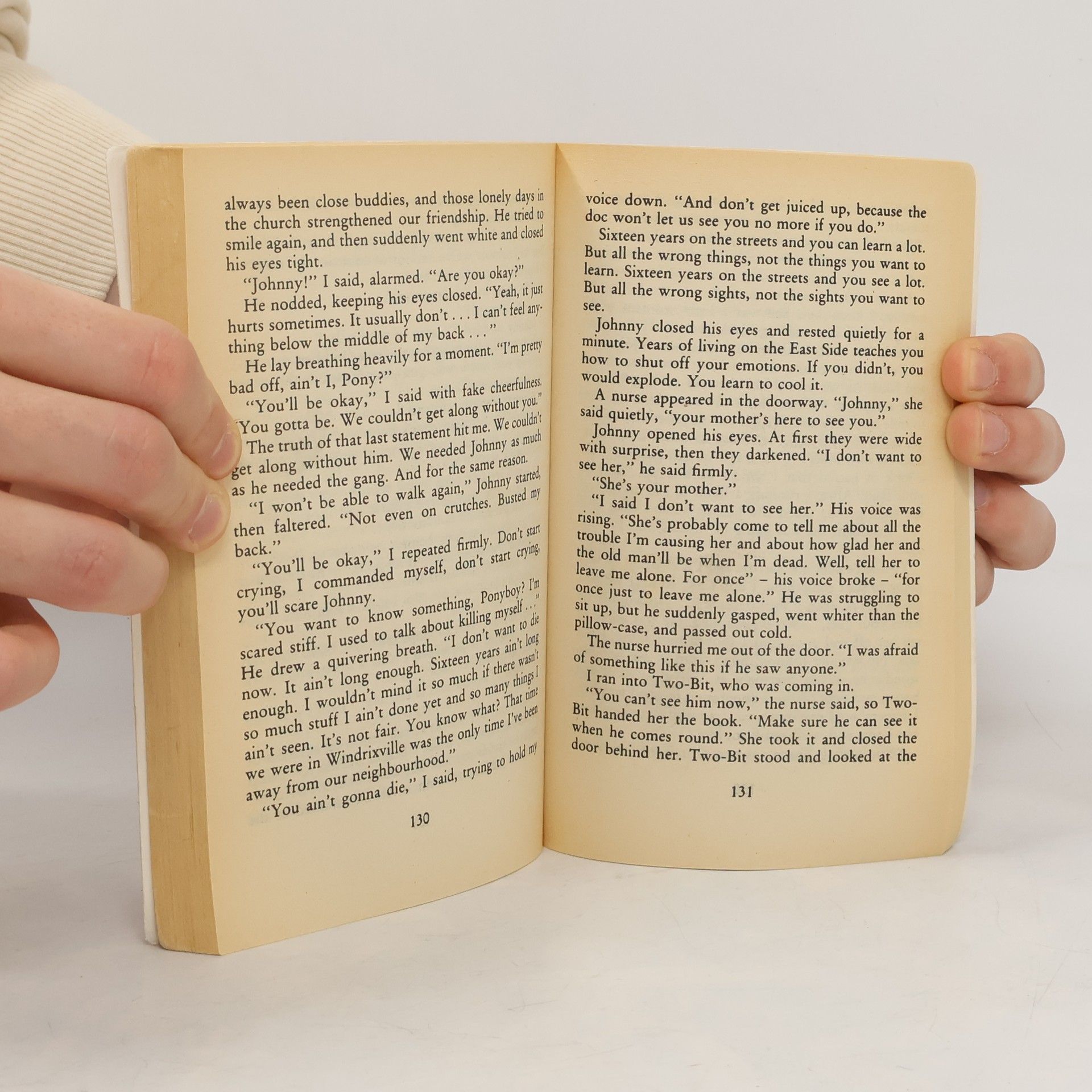 S. E. Hinton The Outsiders