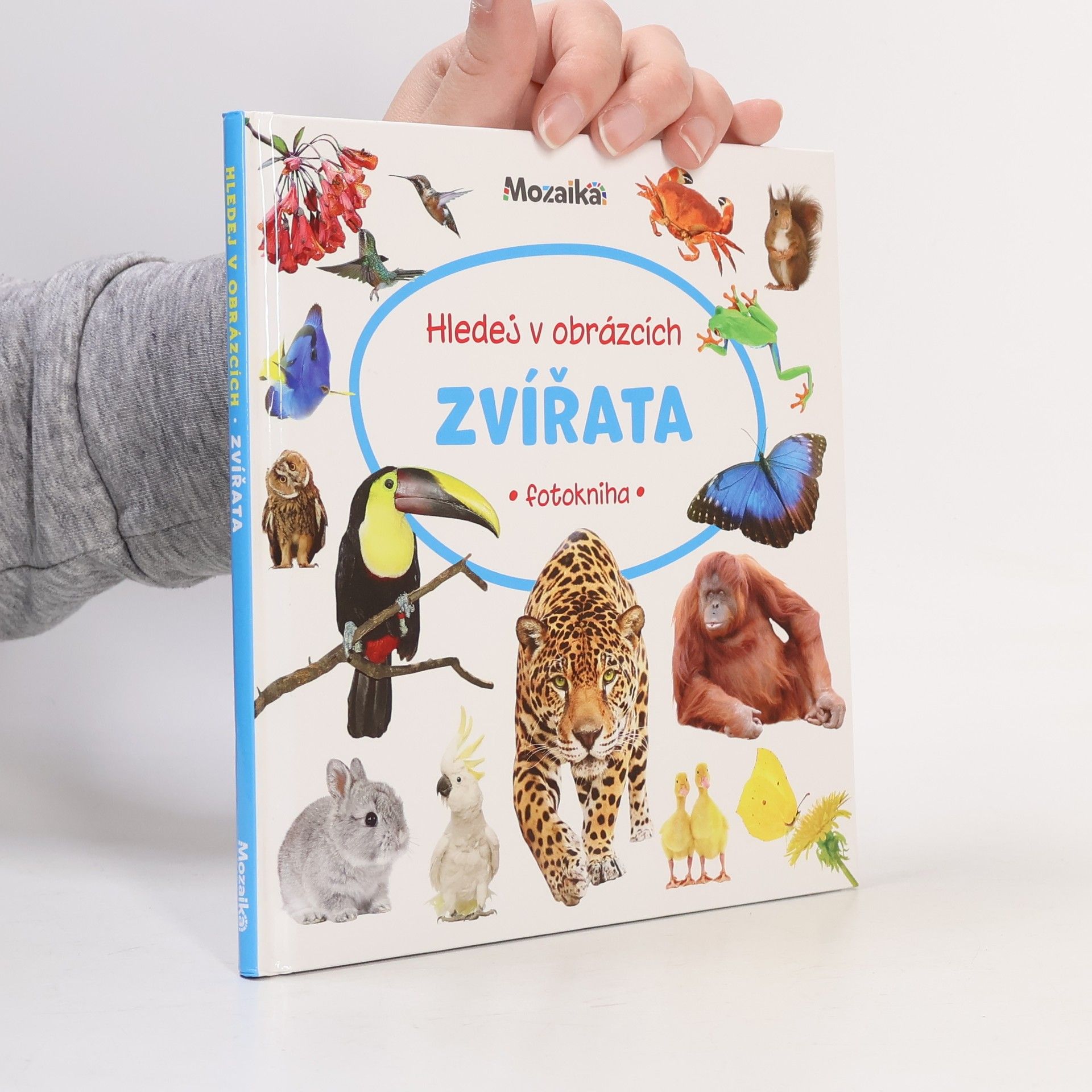 Collectif d'auteurs Hledej v obrázcích: Zvířata (fotokniha)