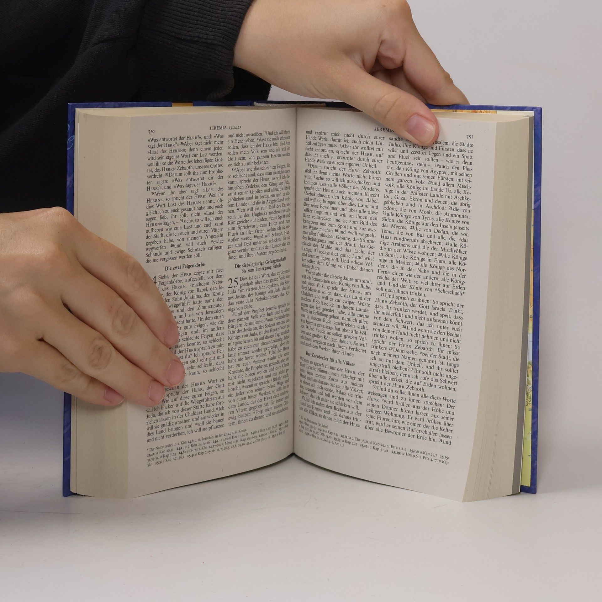 Deutsche Bibelgesellschaft Die Bibel nach Martin Luther