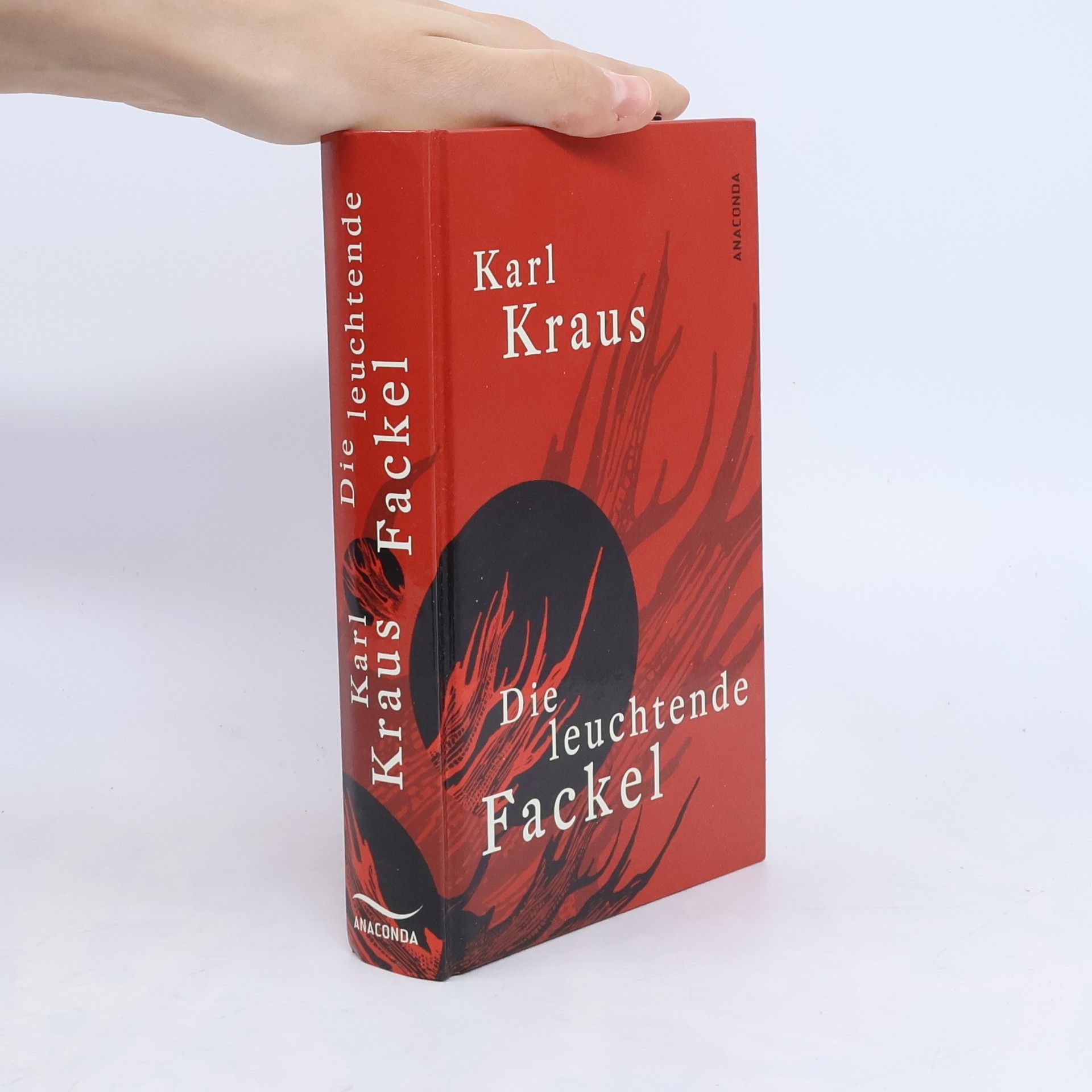 Karel Kraus Die leuchtende Fackel