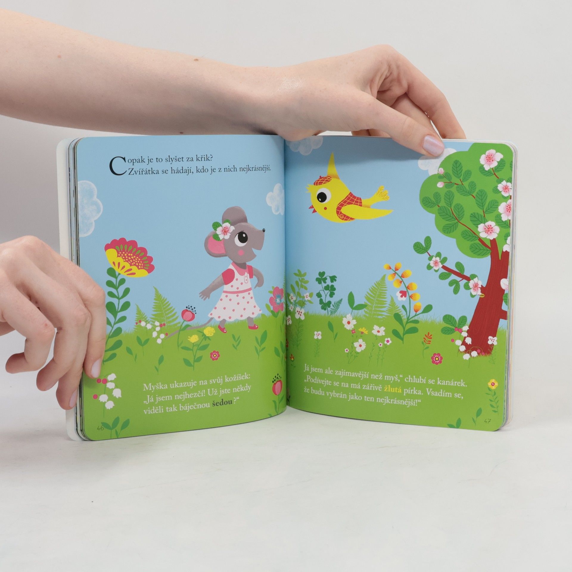 Various authors 5 příběhů ke čtení s maminkou