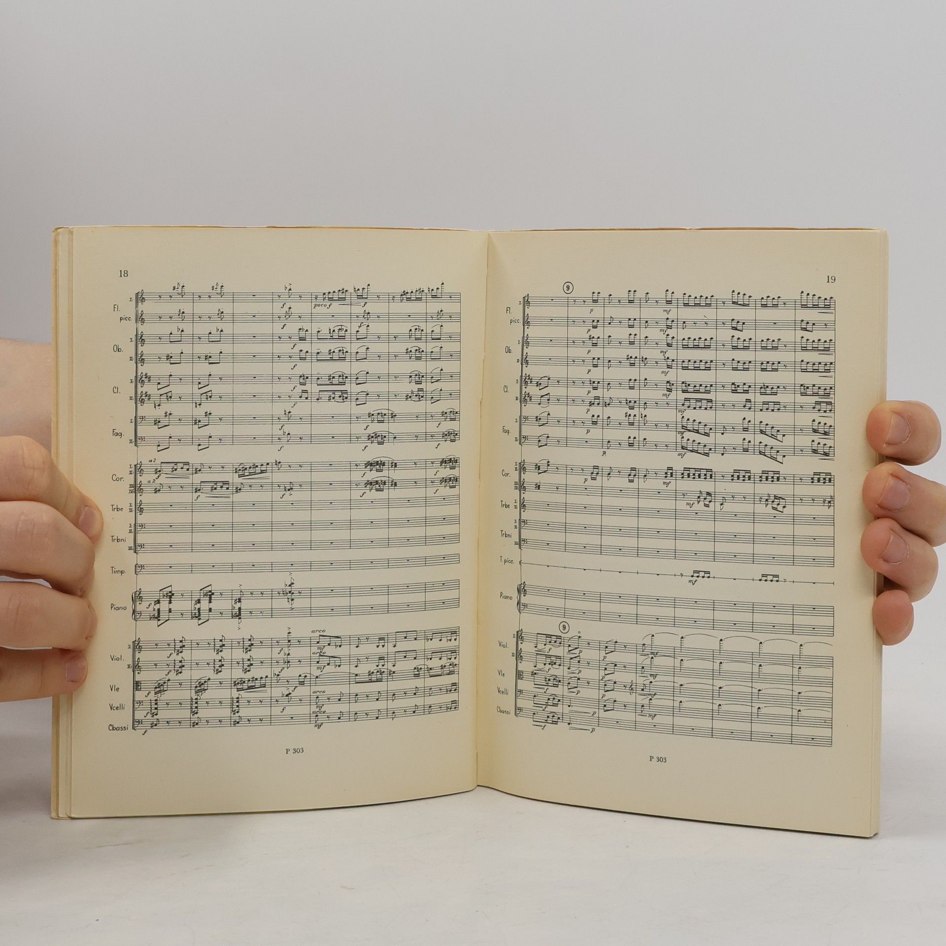Bohuslav Martinů Divadlo za branou
