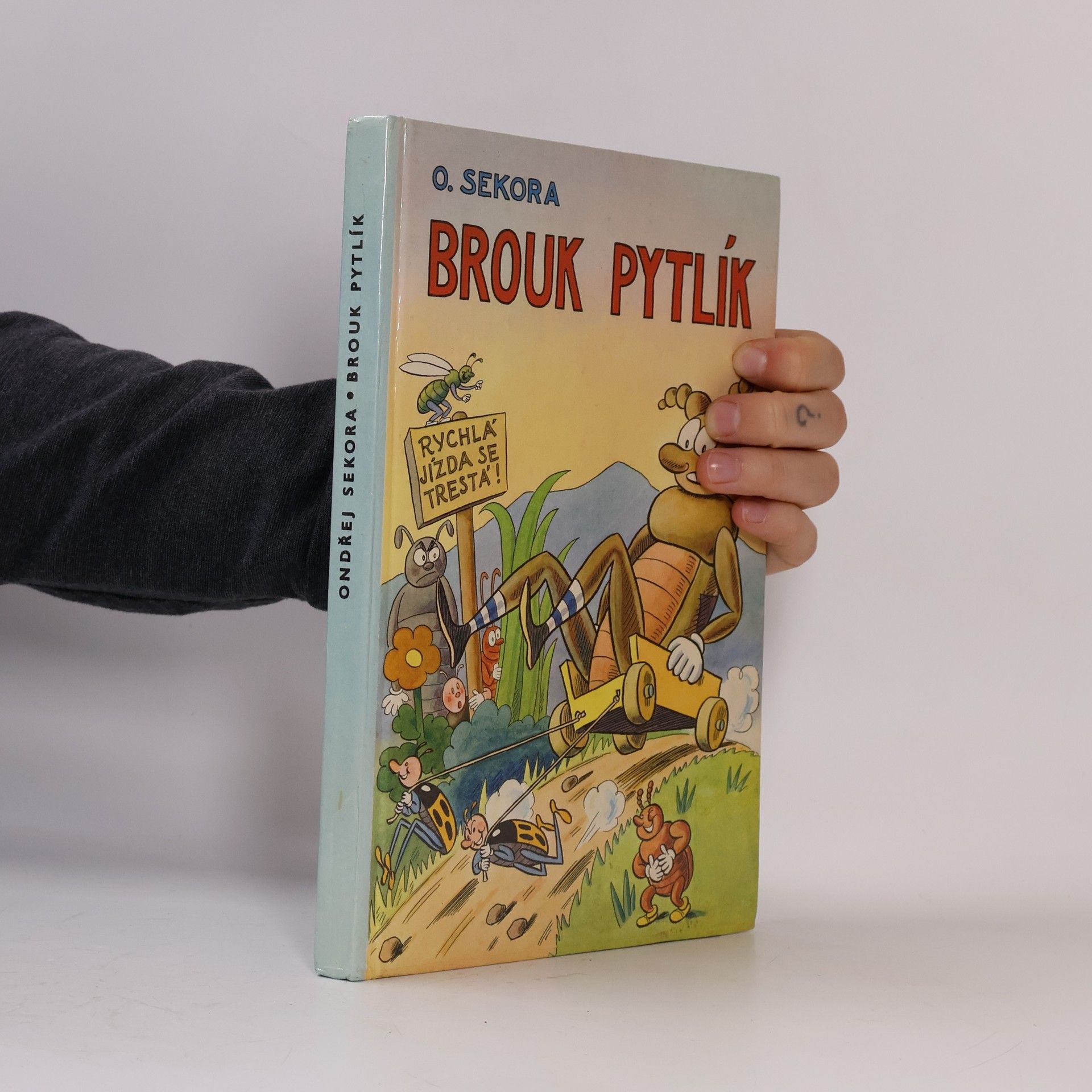 Ondřej Sekora Brouk Pytlík