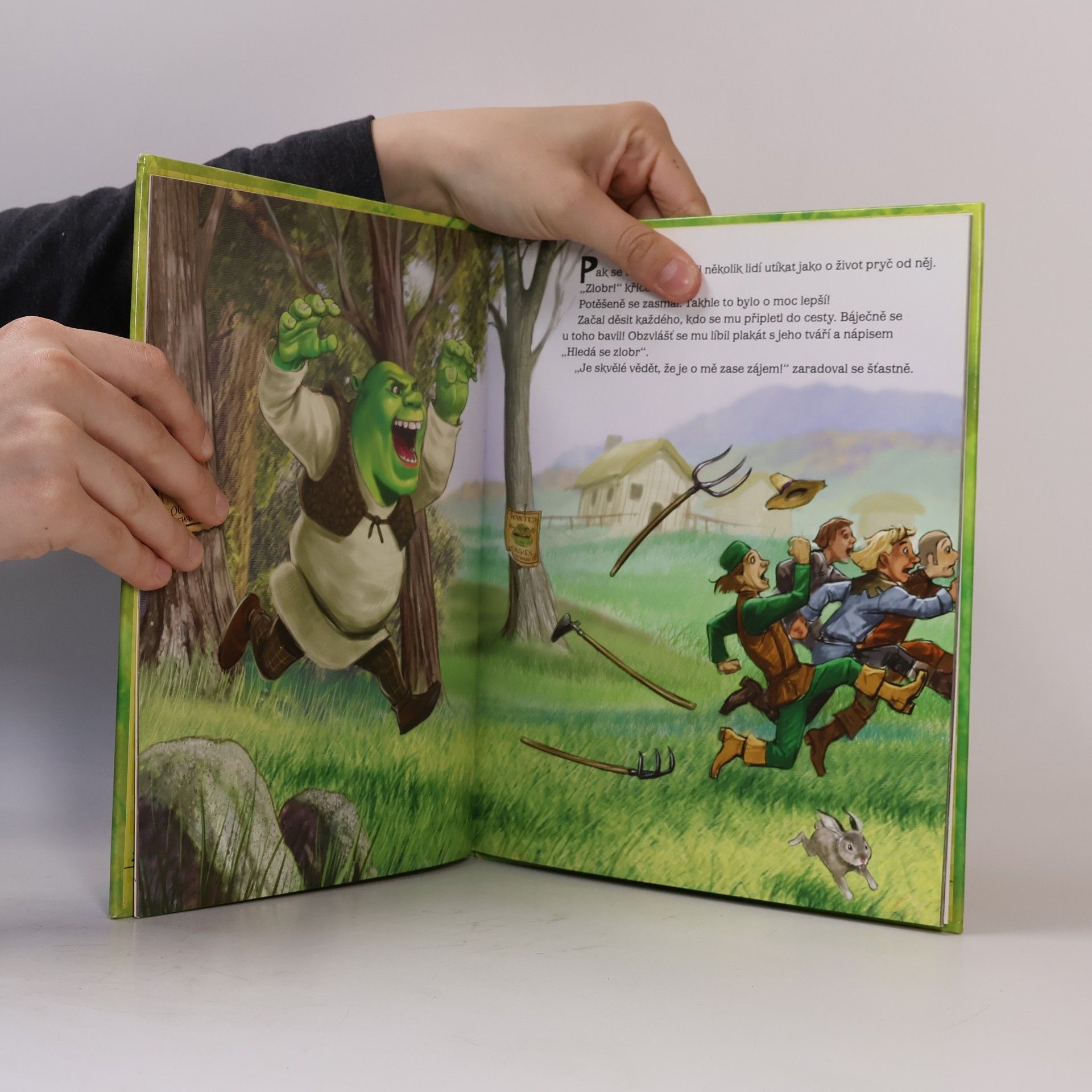 Kolektív autorov Shrek 4 - Zvonec a konec aneb Jak to bylo (ve filmu)