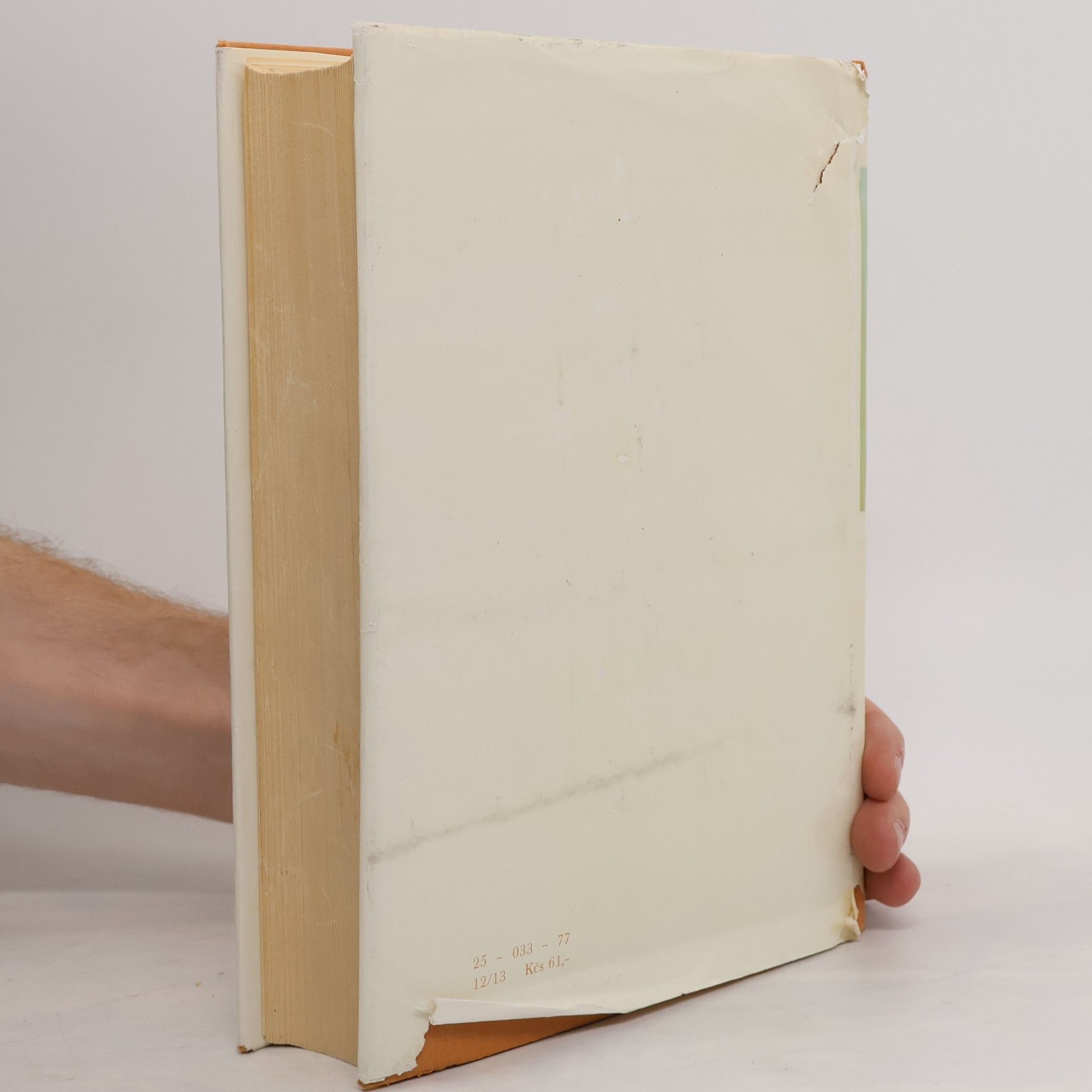 Jiří Honzík Ruská klasická literatura