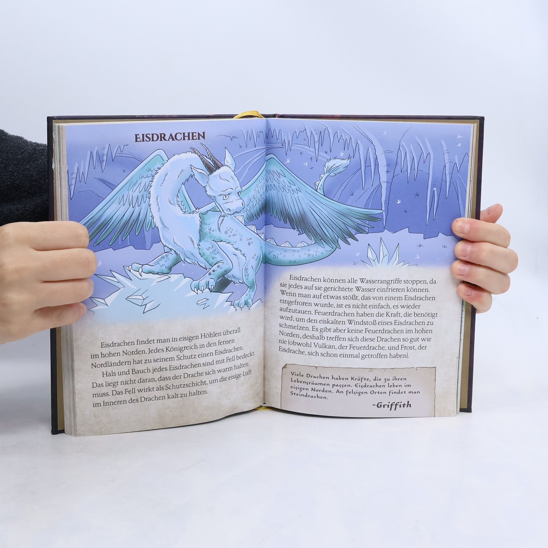 Tracey West Griffiths Handbuch für Drachenmeister