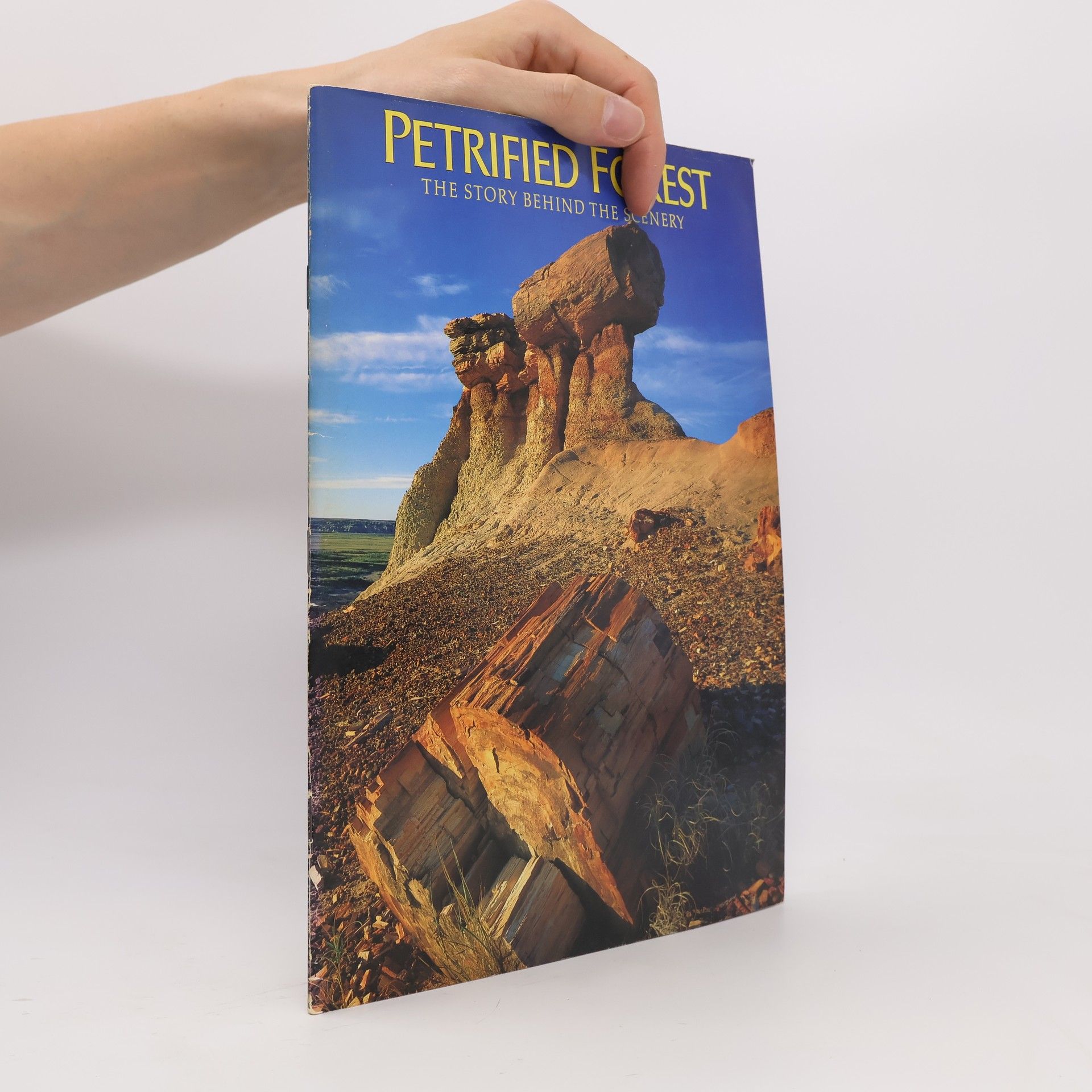 Ash Sidney Petrified forest: The story behind the scenery