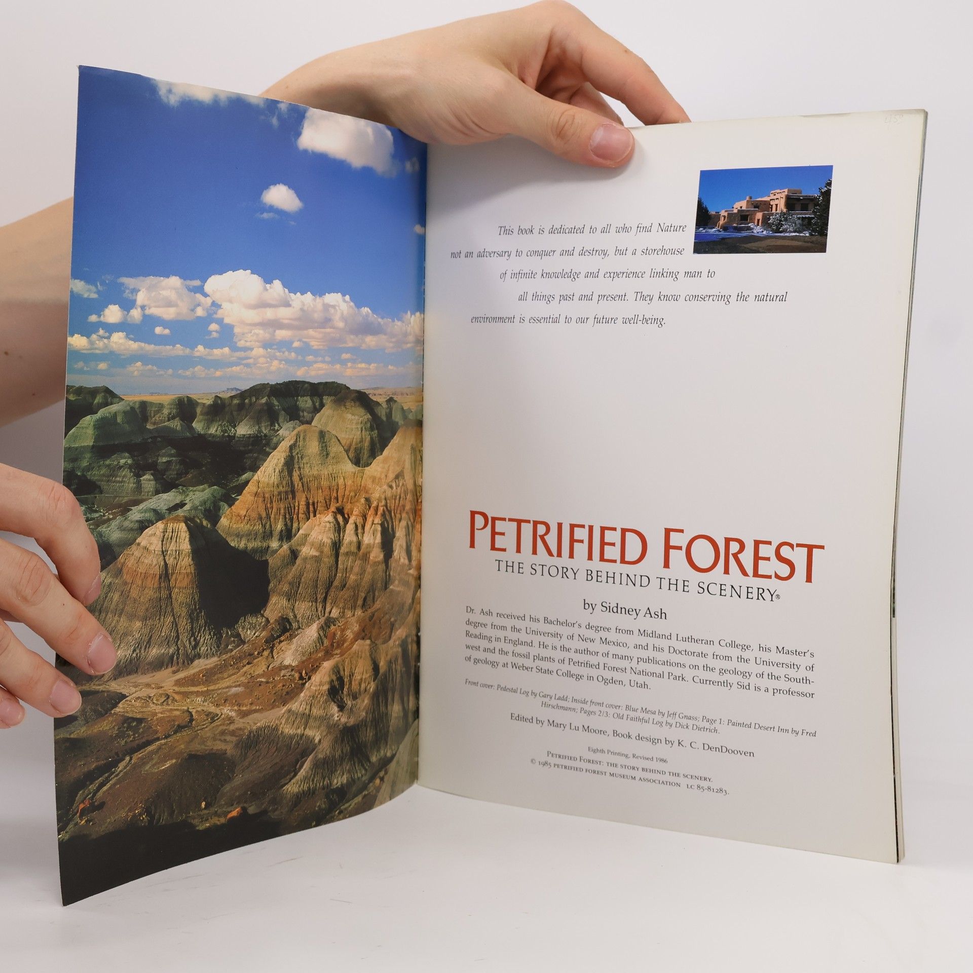 Ash Sidney Petrified forest: The story behind the scenery