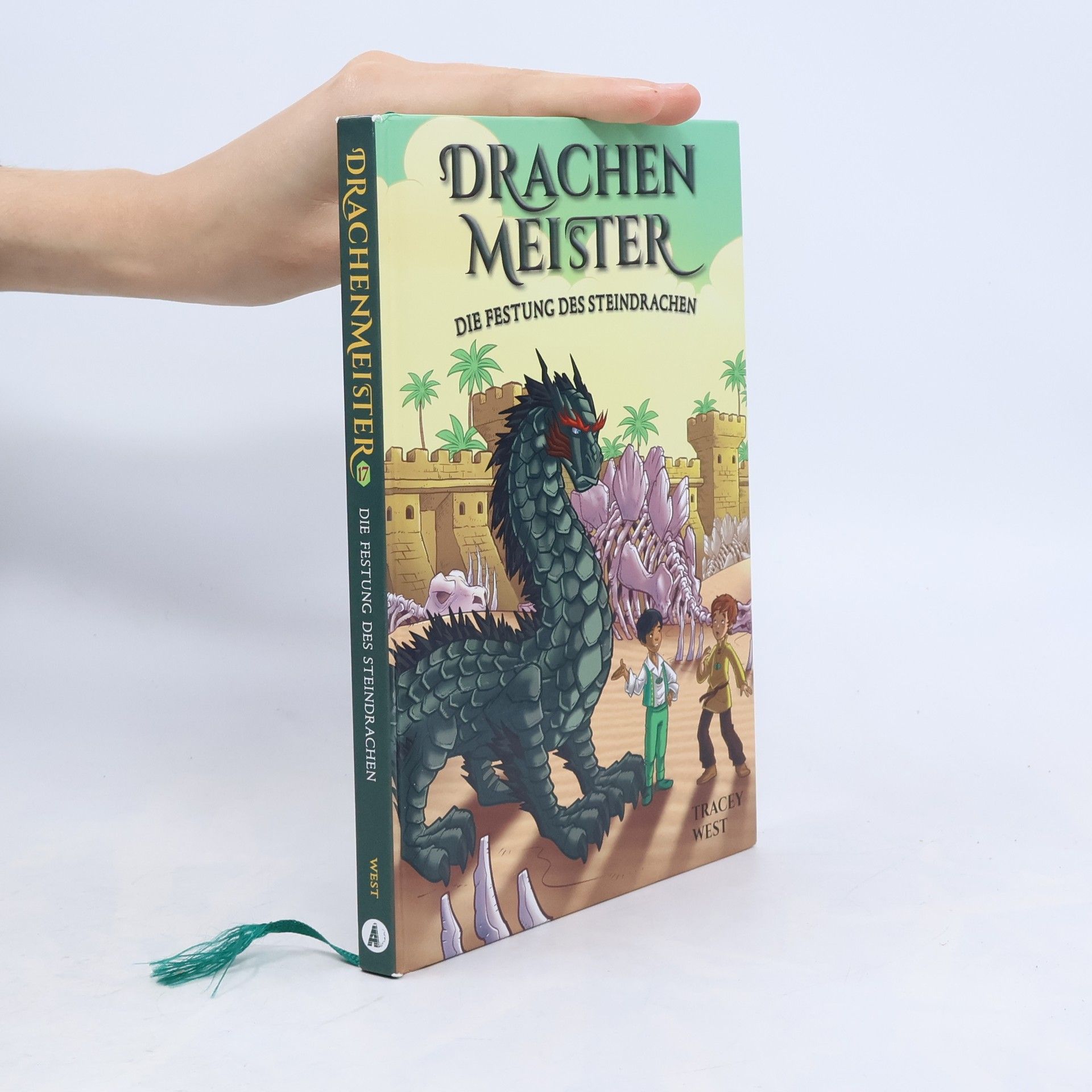 Tracey West Drachenmaster 17: Die Festung des Steindrachen