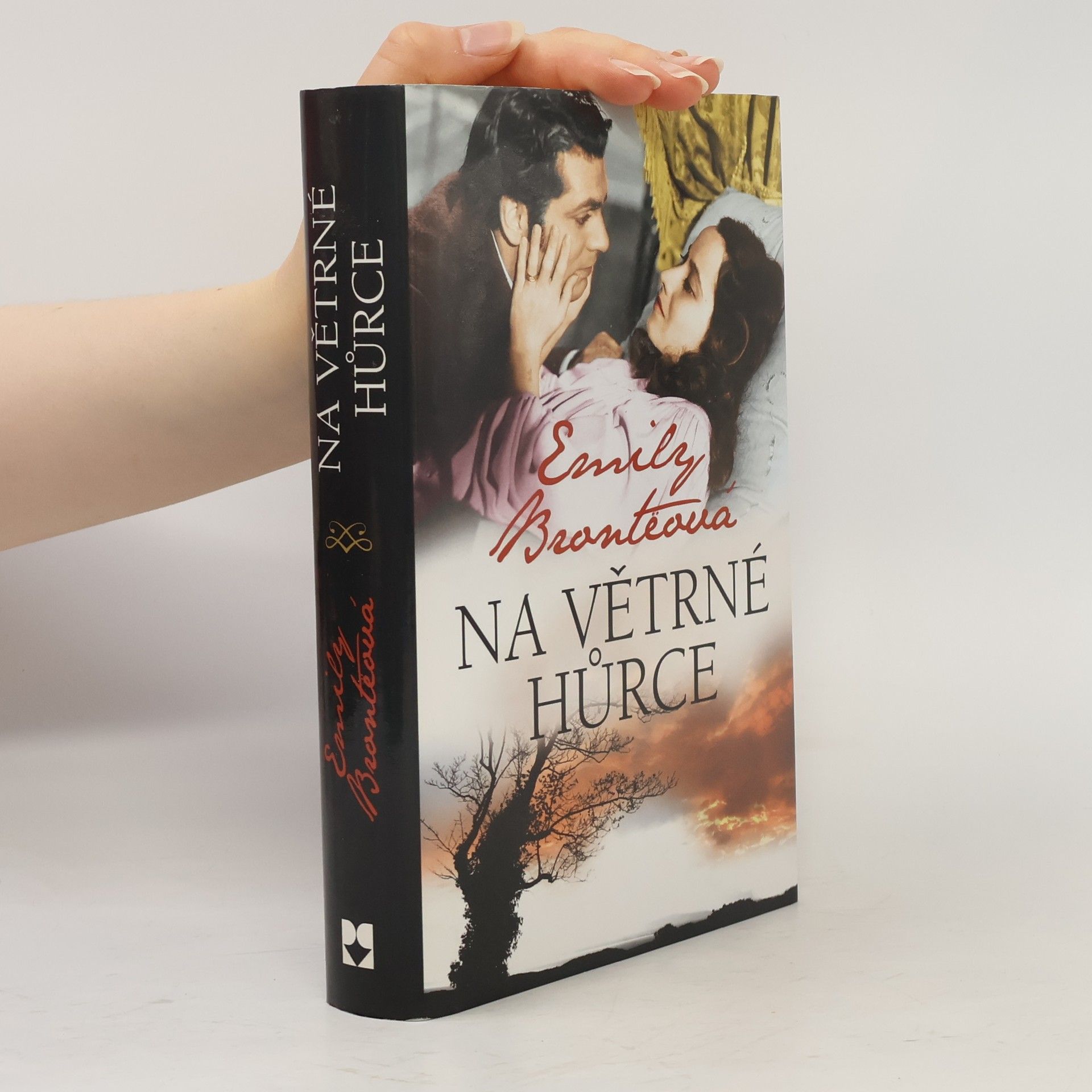 Emily Brontë Na Větrné hůrce