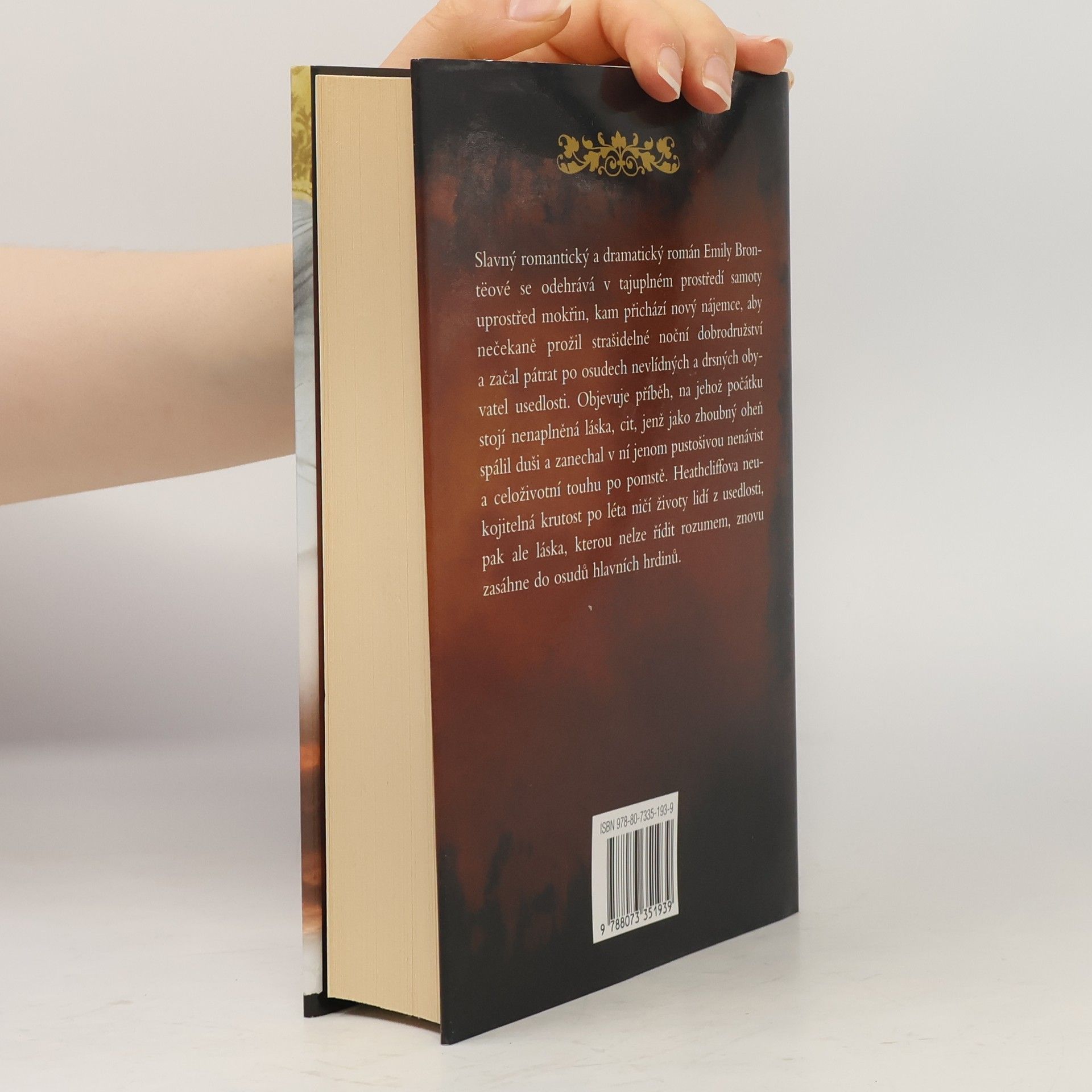 Emily Brontë Na Větrné hůrce