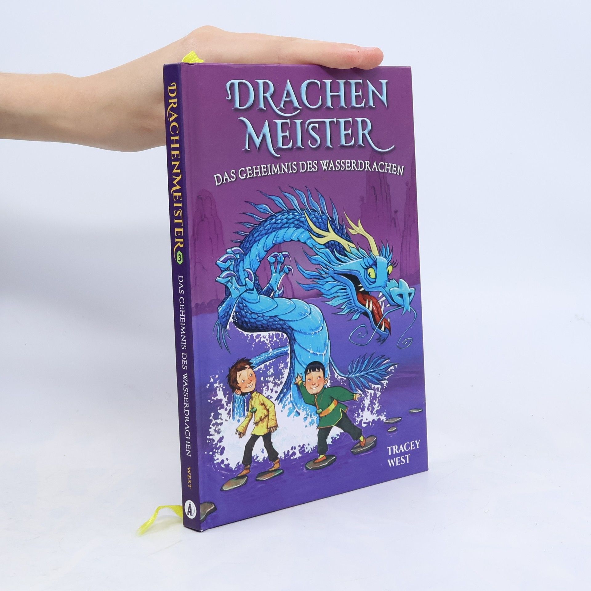 Tracey West Das Geheimnis des Wasserdrachen