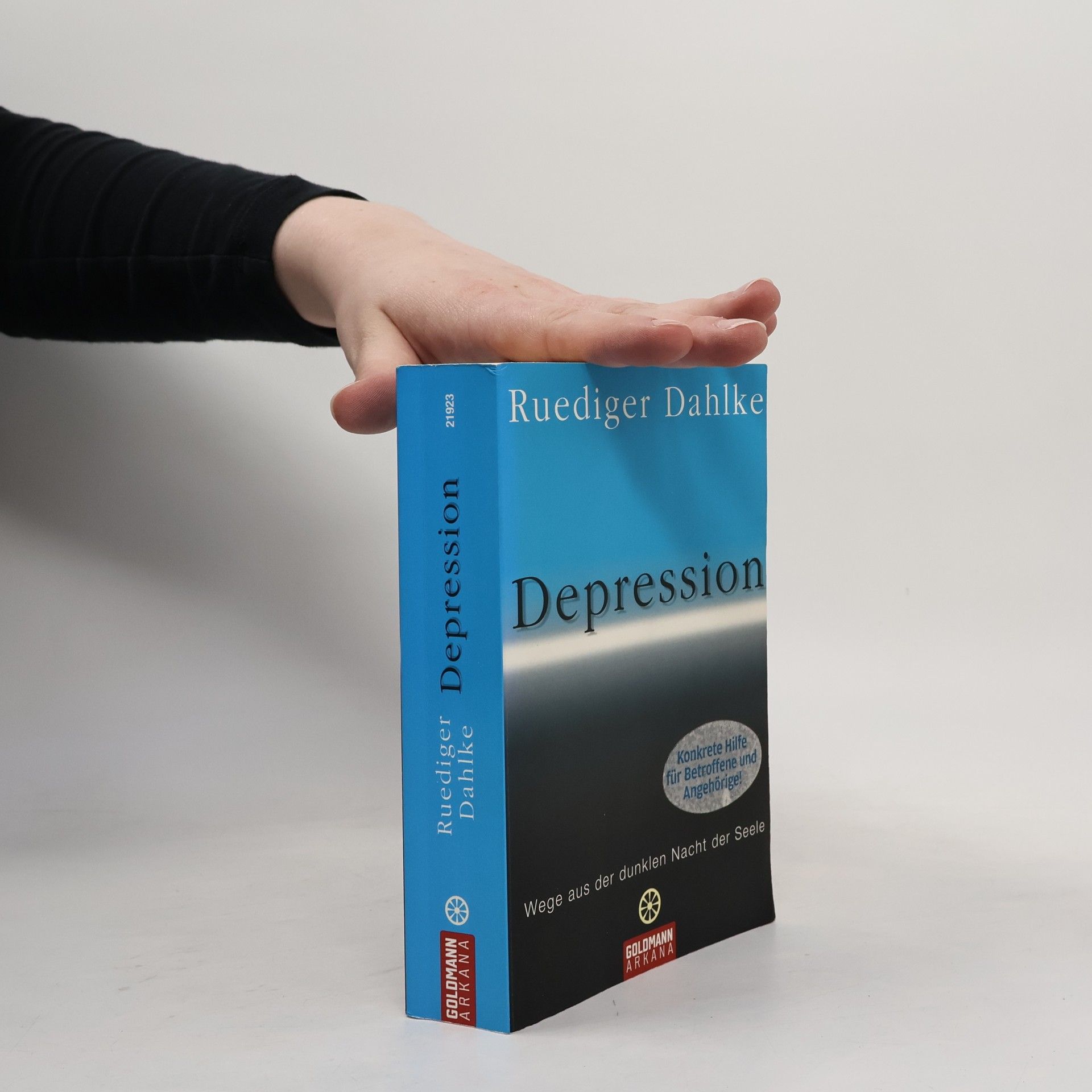 Ruediger Dahlke Depression