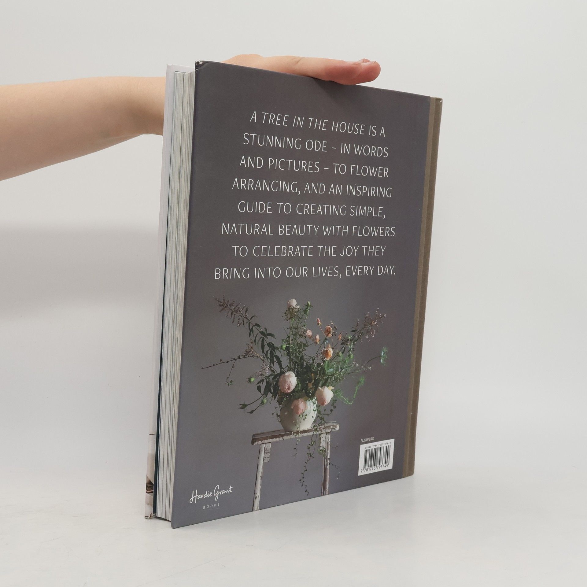 Annabelle Hickson A Tree in the House