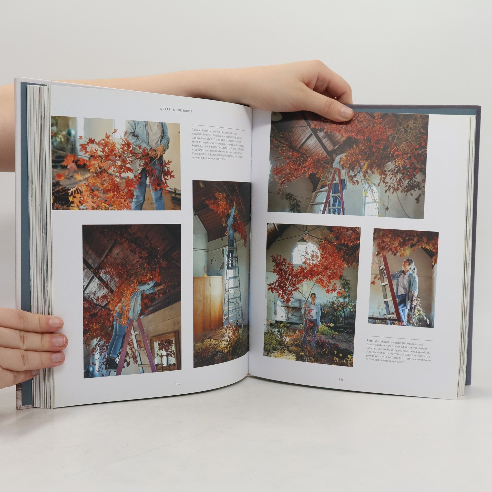 Annabelle Hickson A Tree in the House
