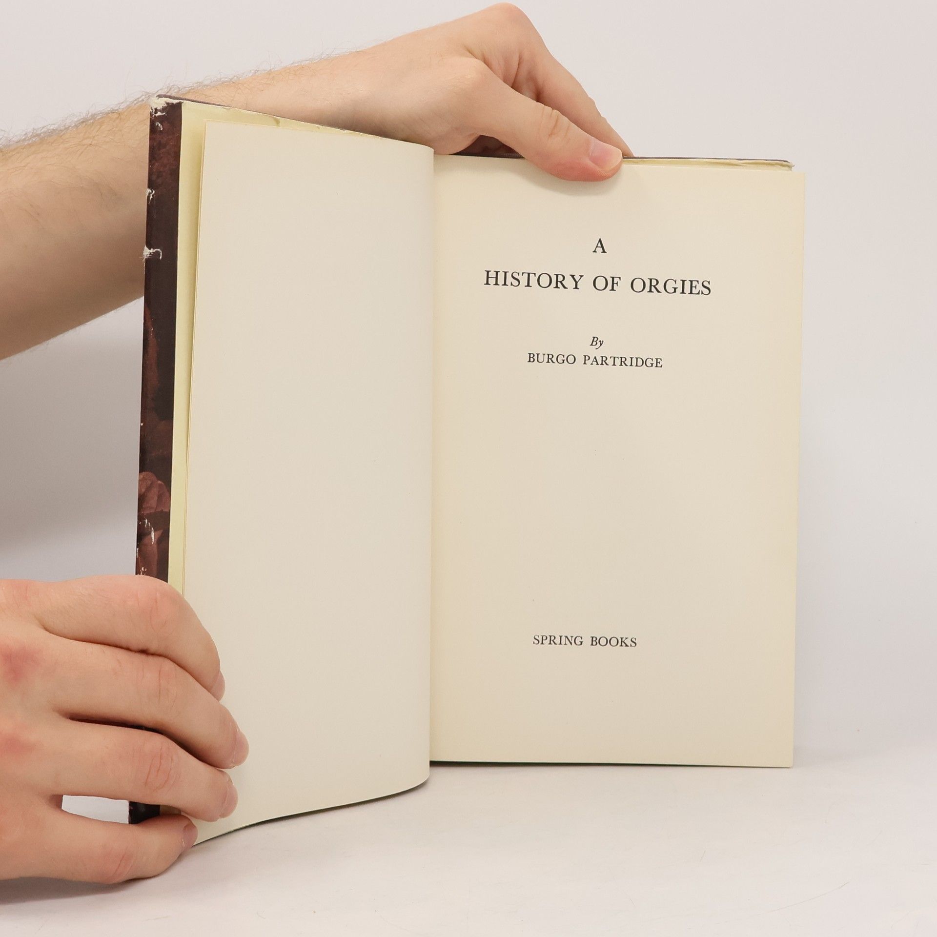 Burgo Partridge A History of Orgies