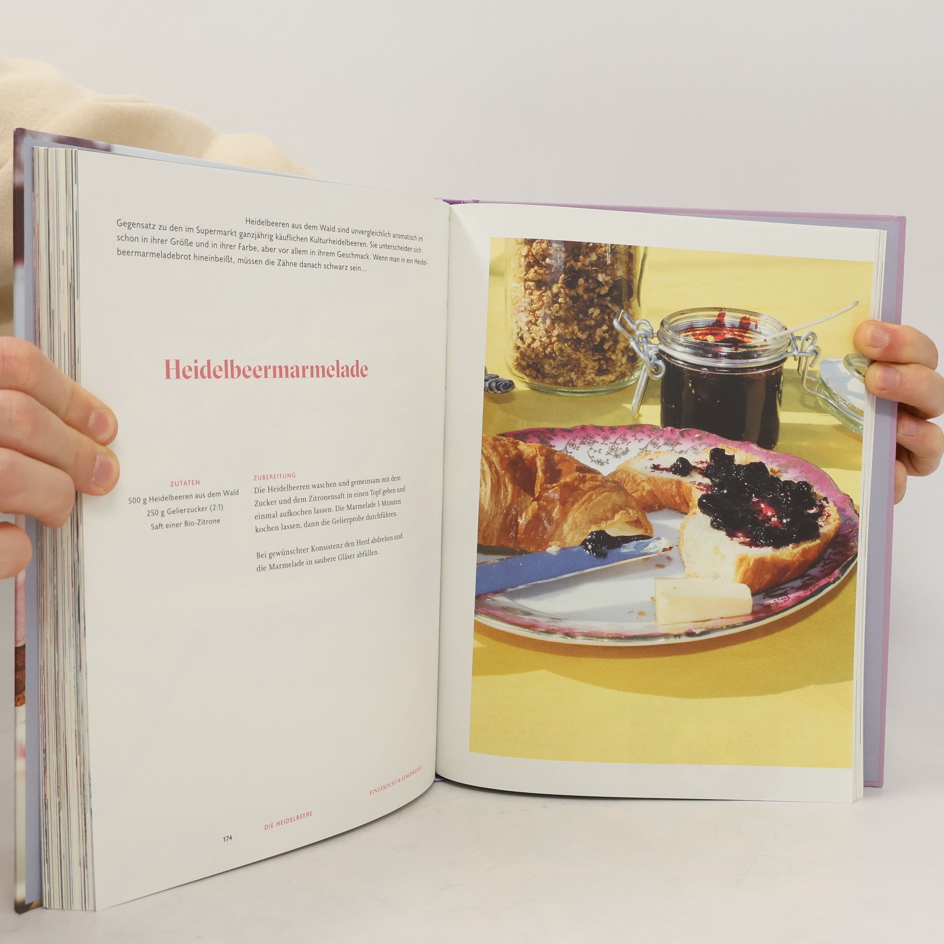 Sophia Dünser Himbeerschnitte und Holundereis