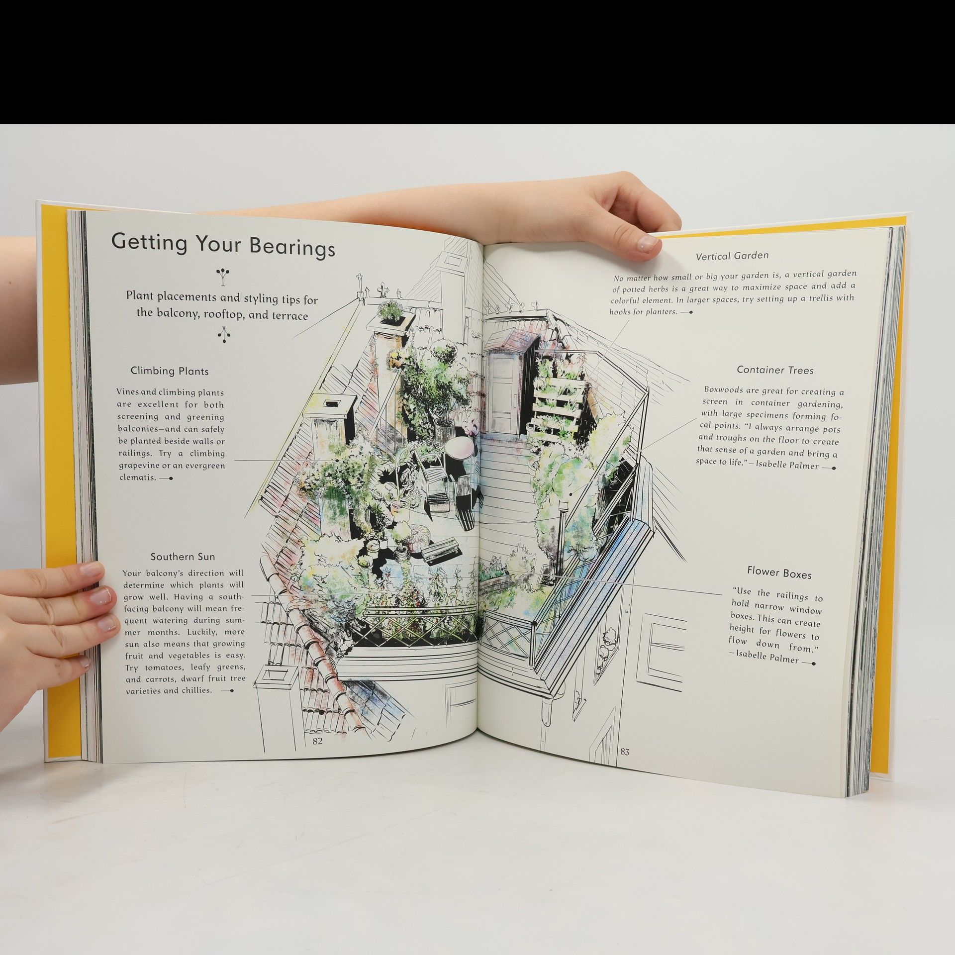 Various authors Evergreen: Living with plants