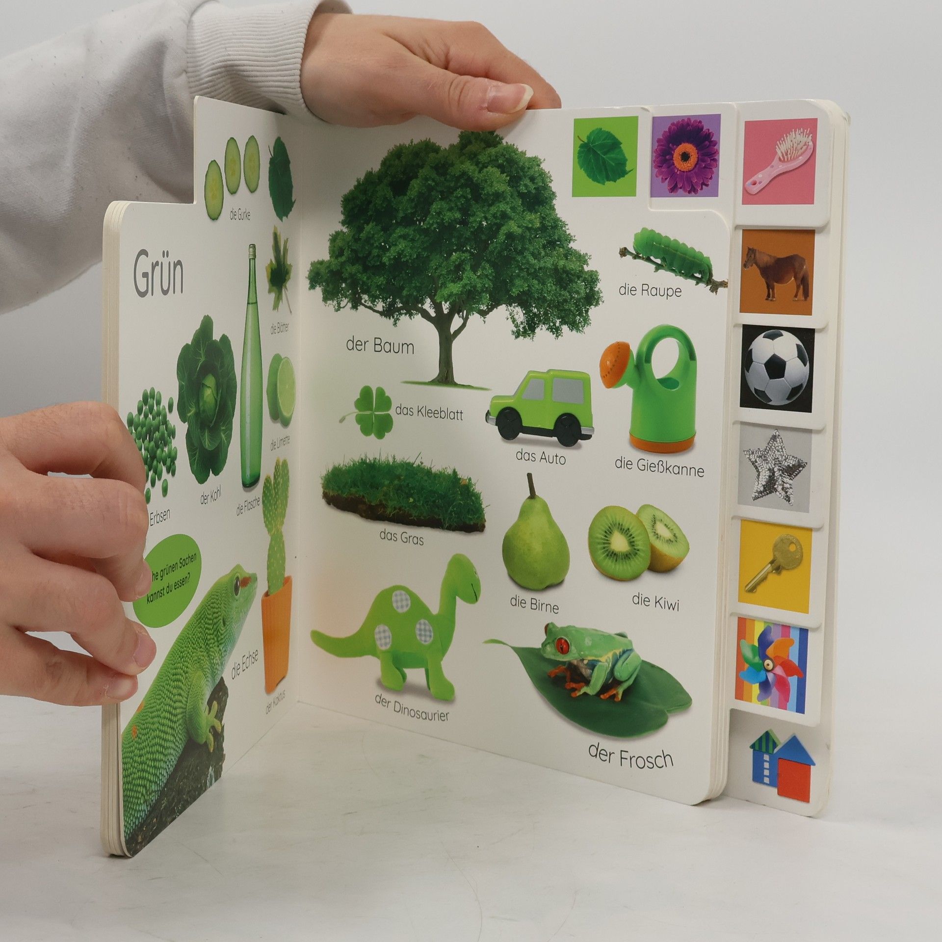 Dorling Kindersley Verlag Erstes Lernen. Farben