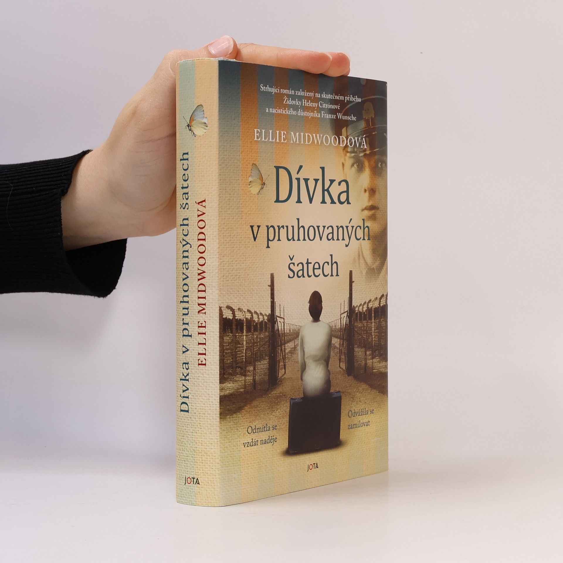 Ellie Midwood Dívka v pruhovaných šatech