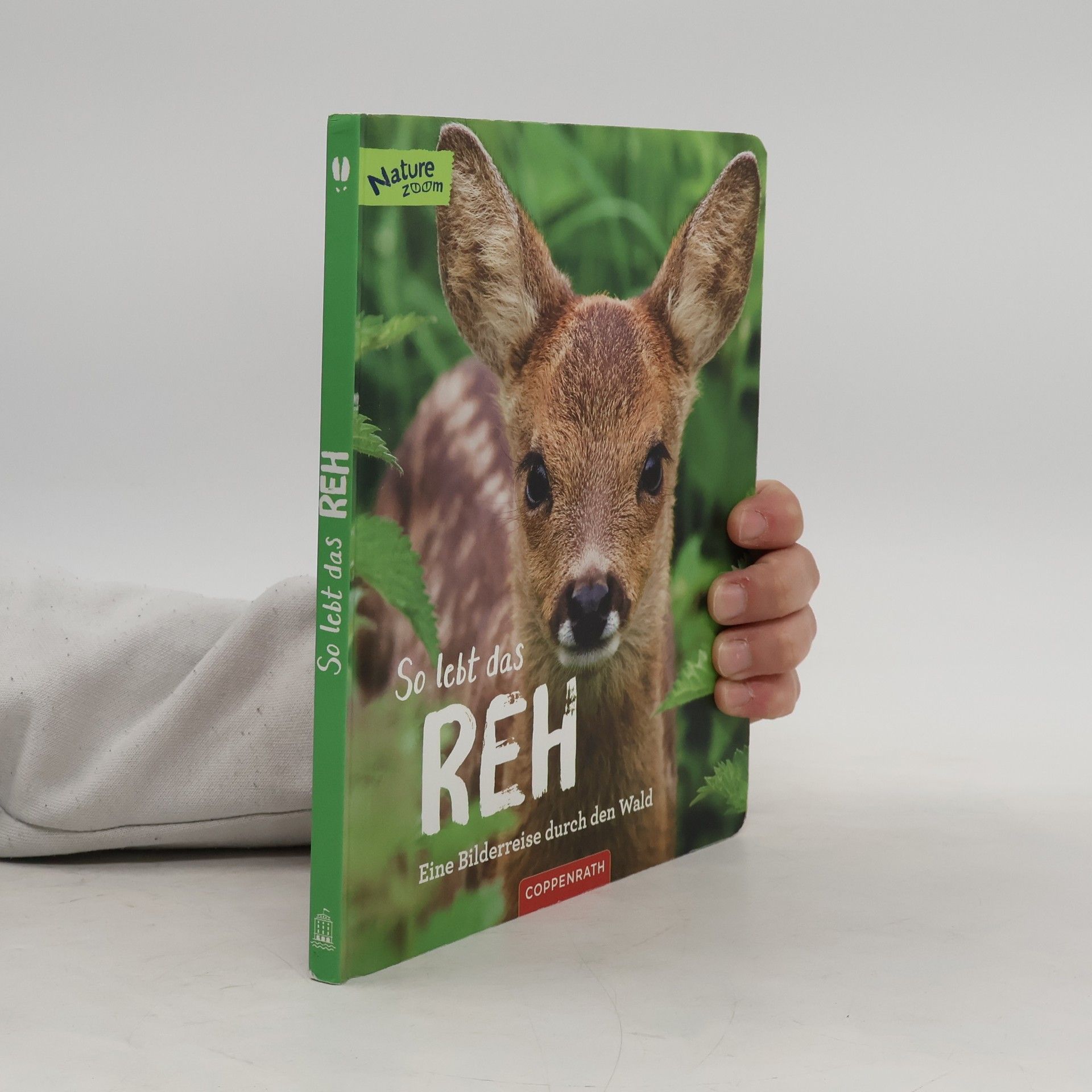 Sandra Noa Nature Zoom: So lebt das Reh