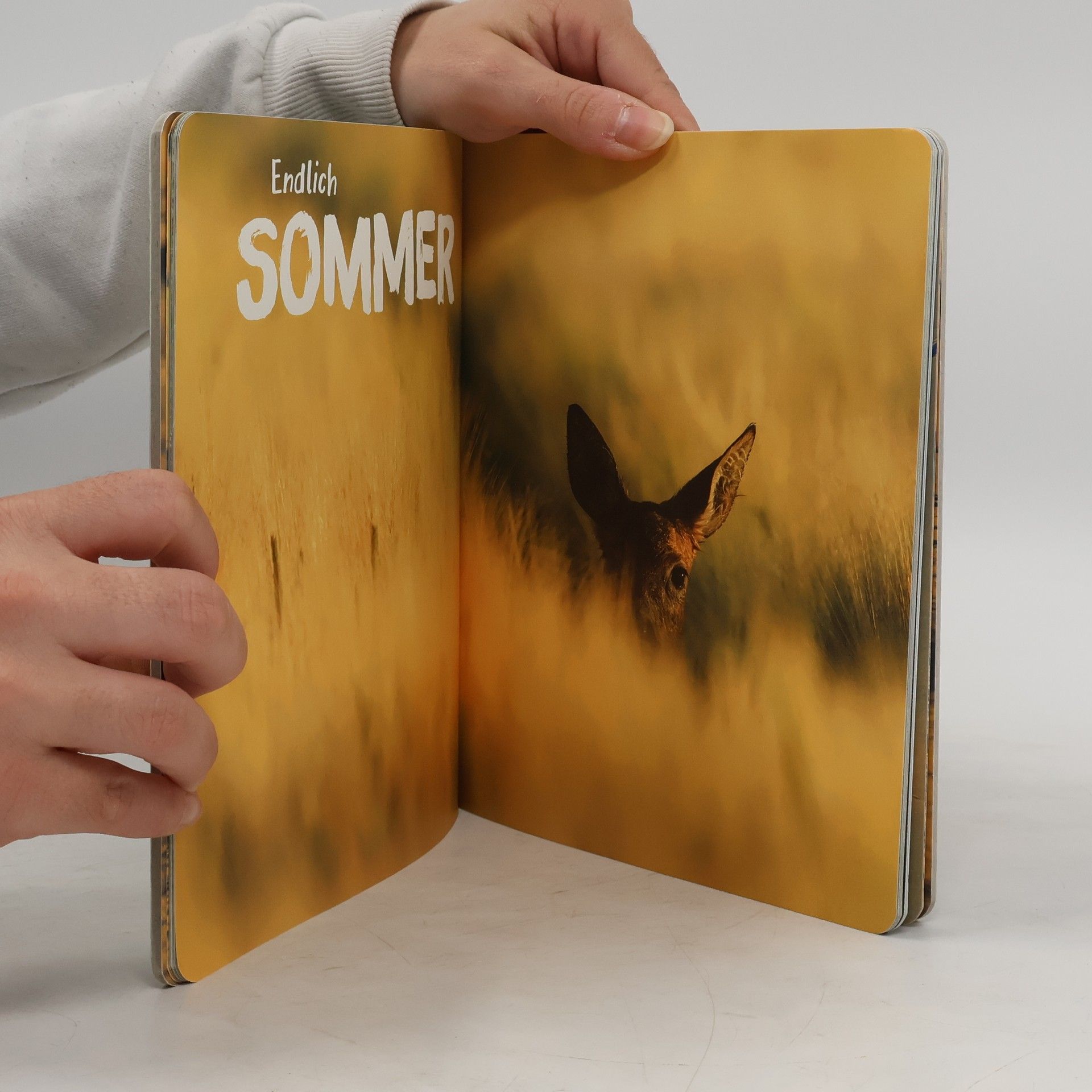 Sandra Noa Nature Zoom: So lebt das Reh