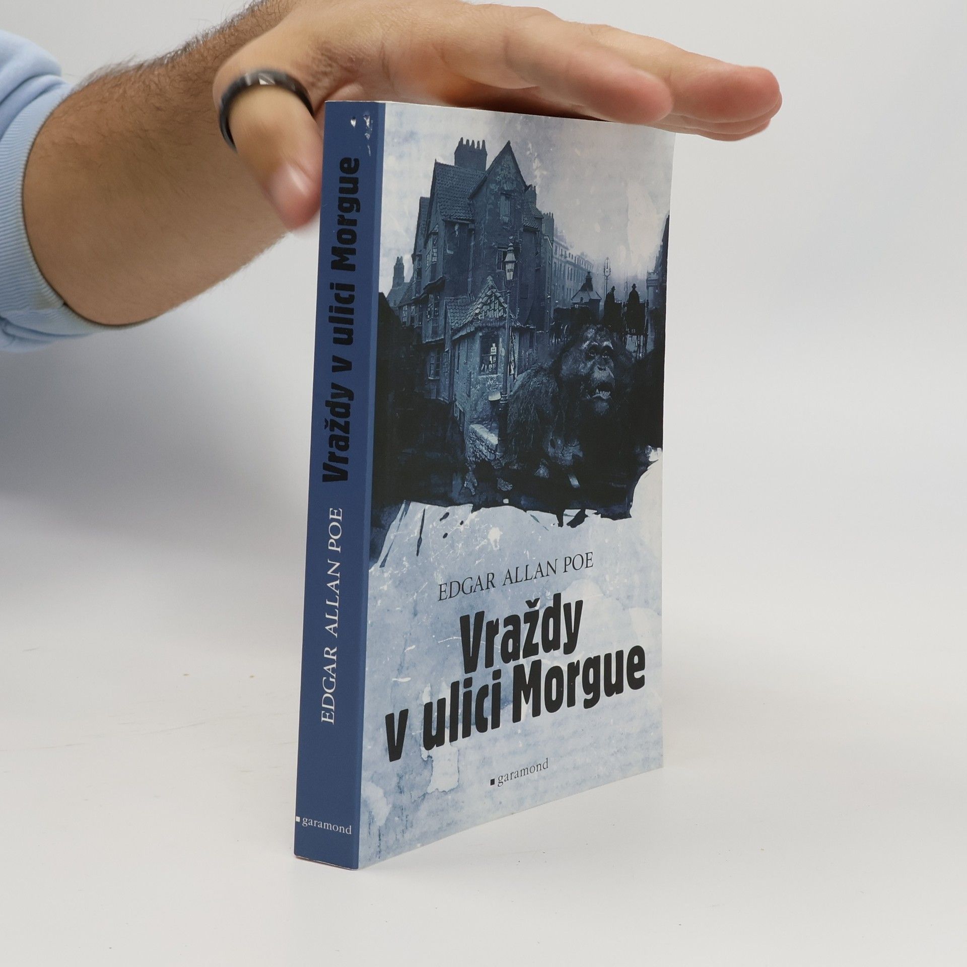 Edgar Allan Poe Vraždy v ulici Morgue