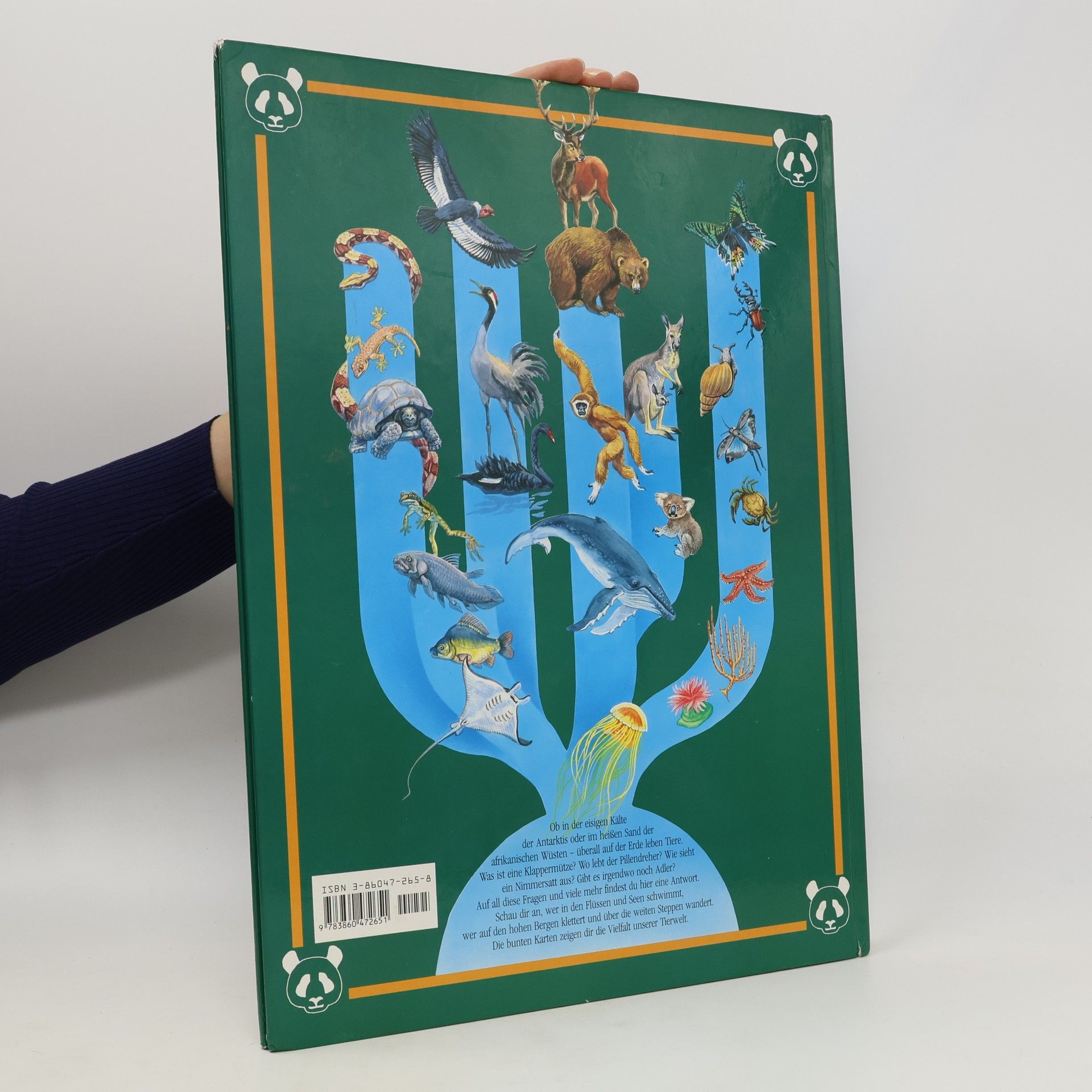 Vera Bauer Tieratlas für Kinder
