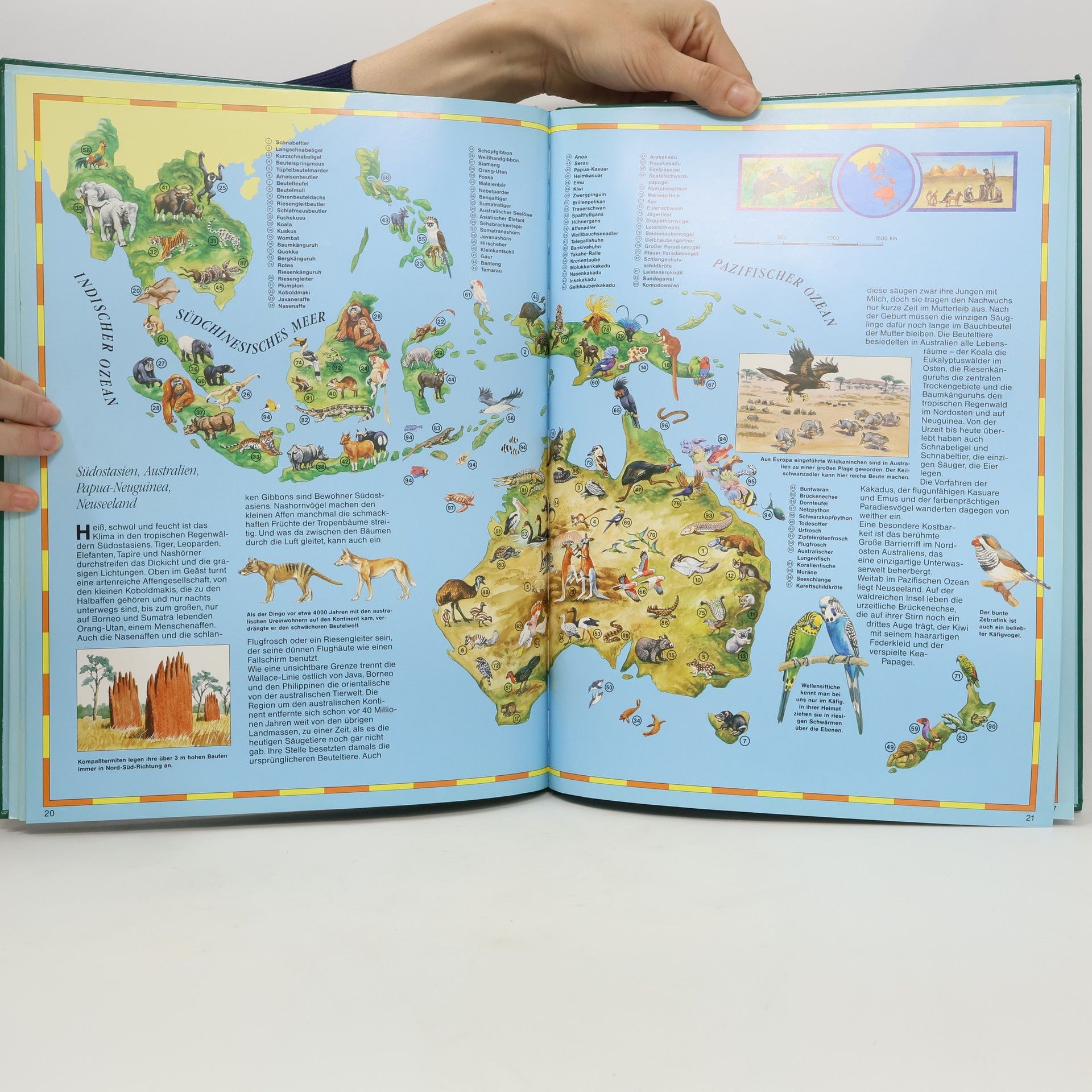 Vera Bauer Tieratlas für Kinder