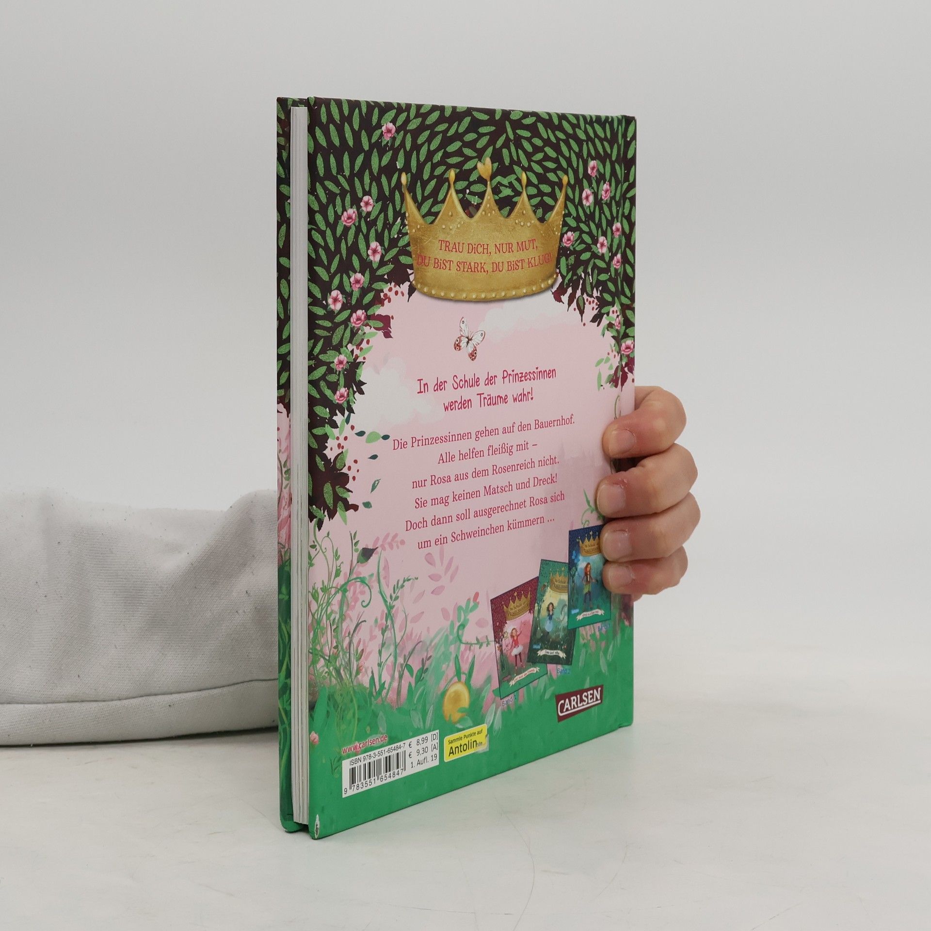 Judith Allert Die Schule der Prinzessinnen 4: Rosa und das Glücksschwein
