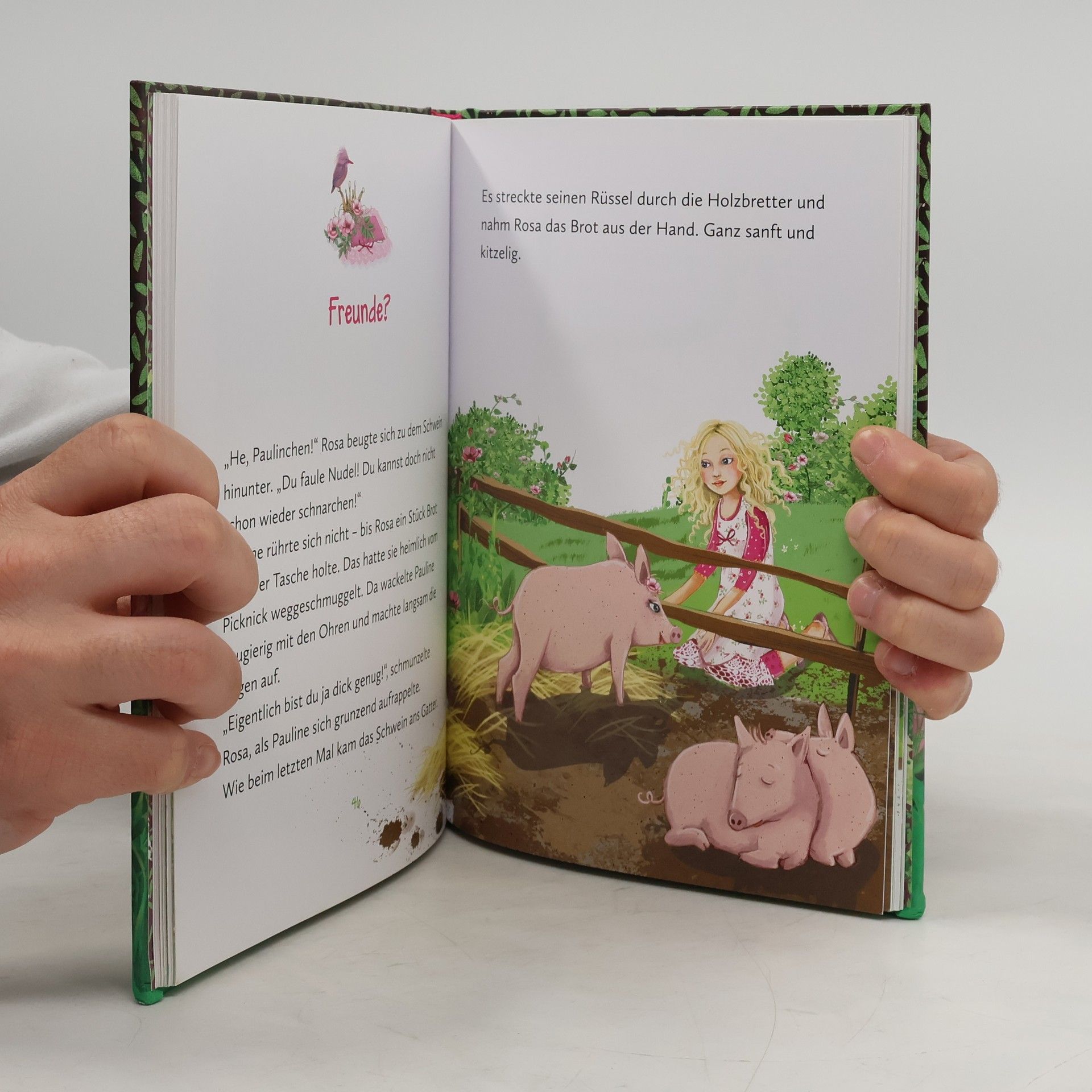 Judith Allert Die Schule der Prinzessinnen 4: Rosa und das Glücksschwein