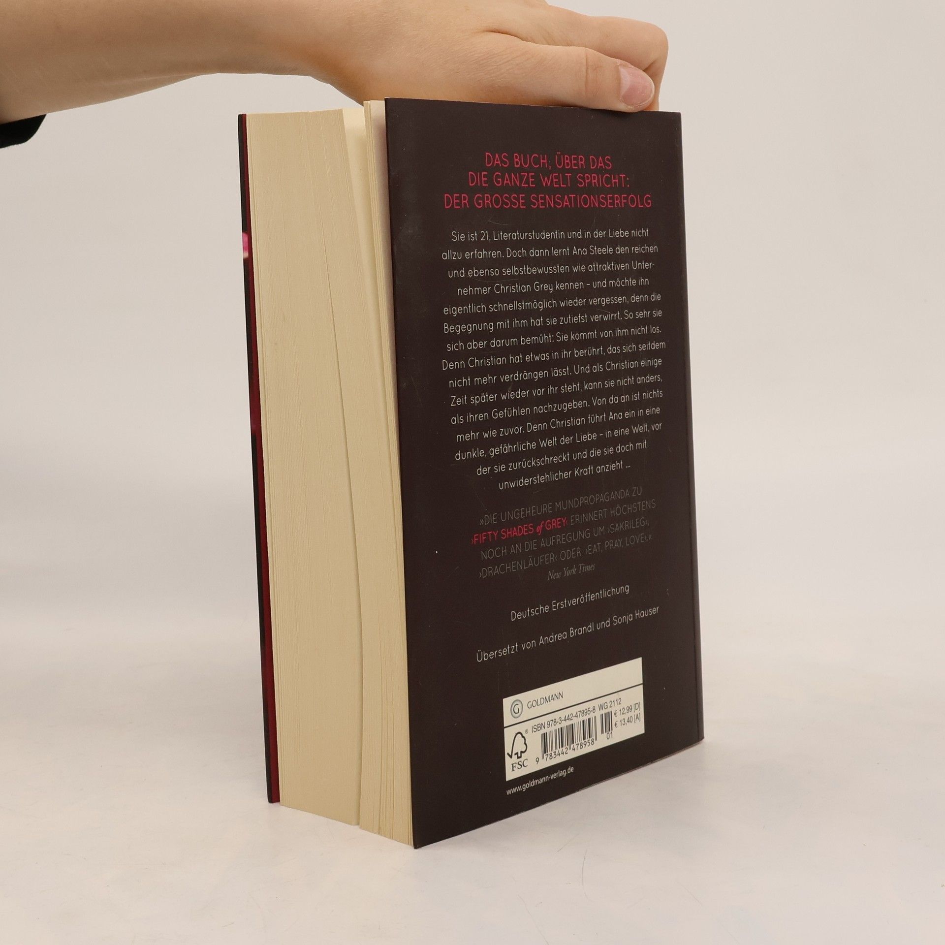 E. L. James Shades of Grey. Geheimes Verlangen