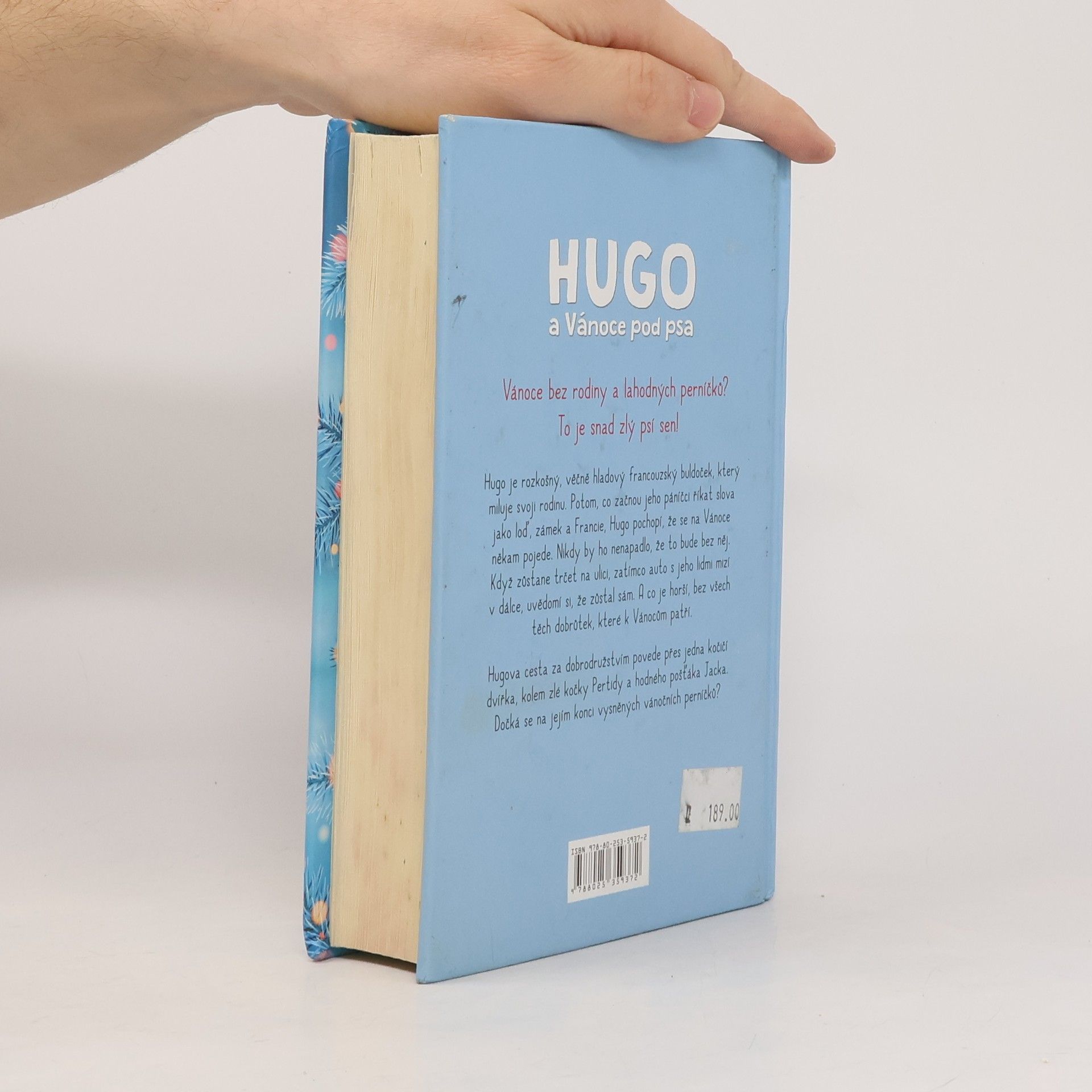 Sophie Pembroke Hugo a Vánoce pod psa