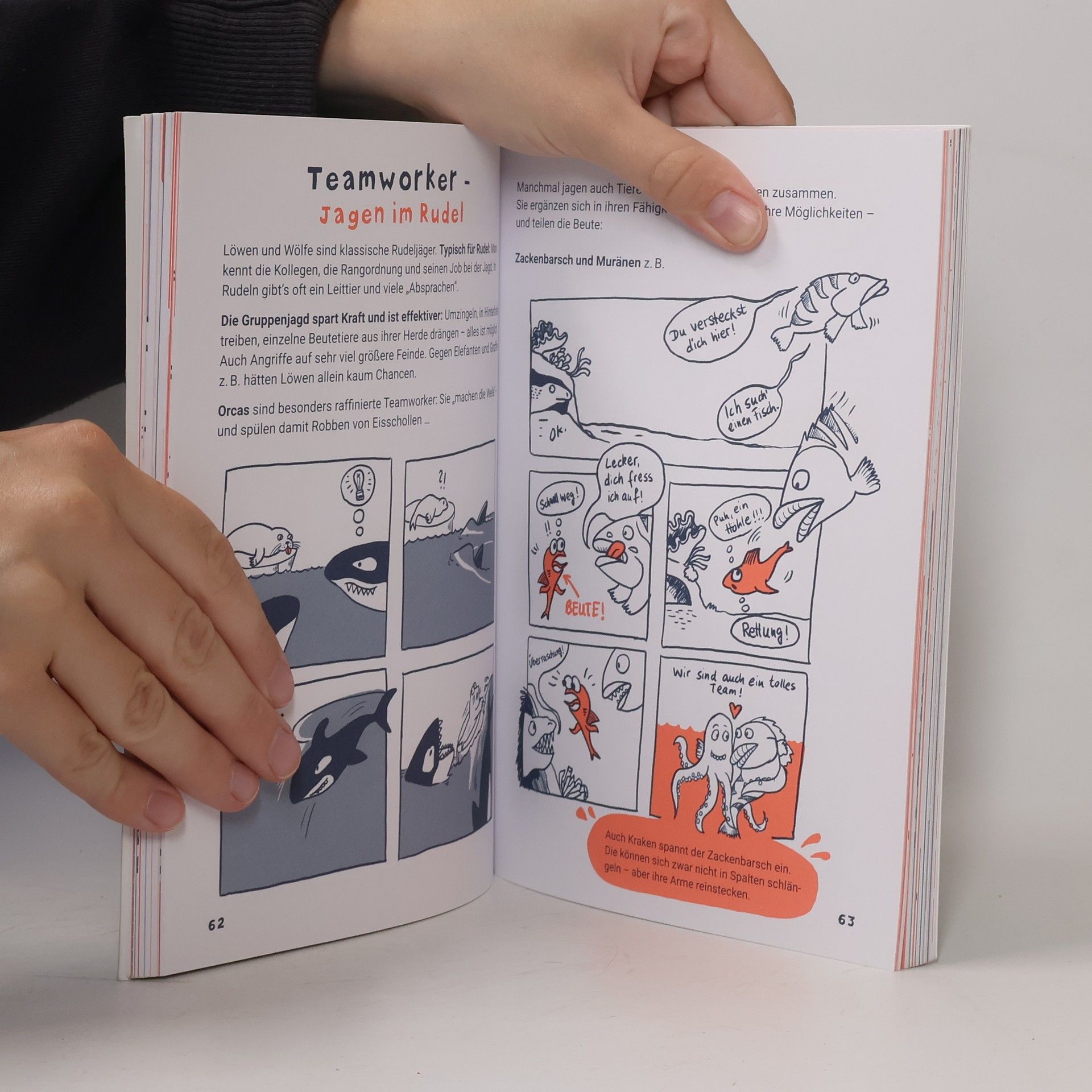 Birgit Niehaus Weitgucker, Schnellspucker, Wegducker