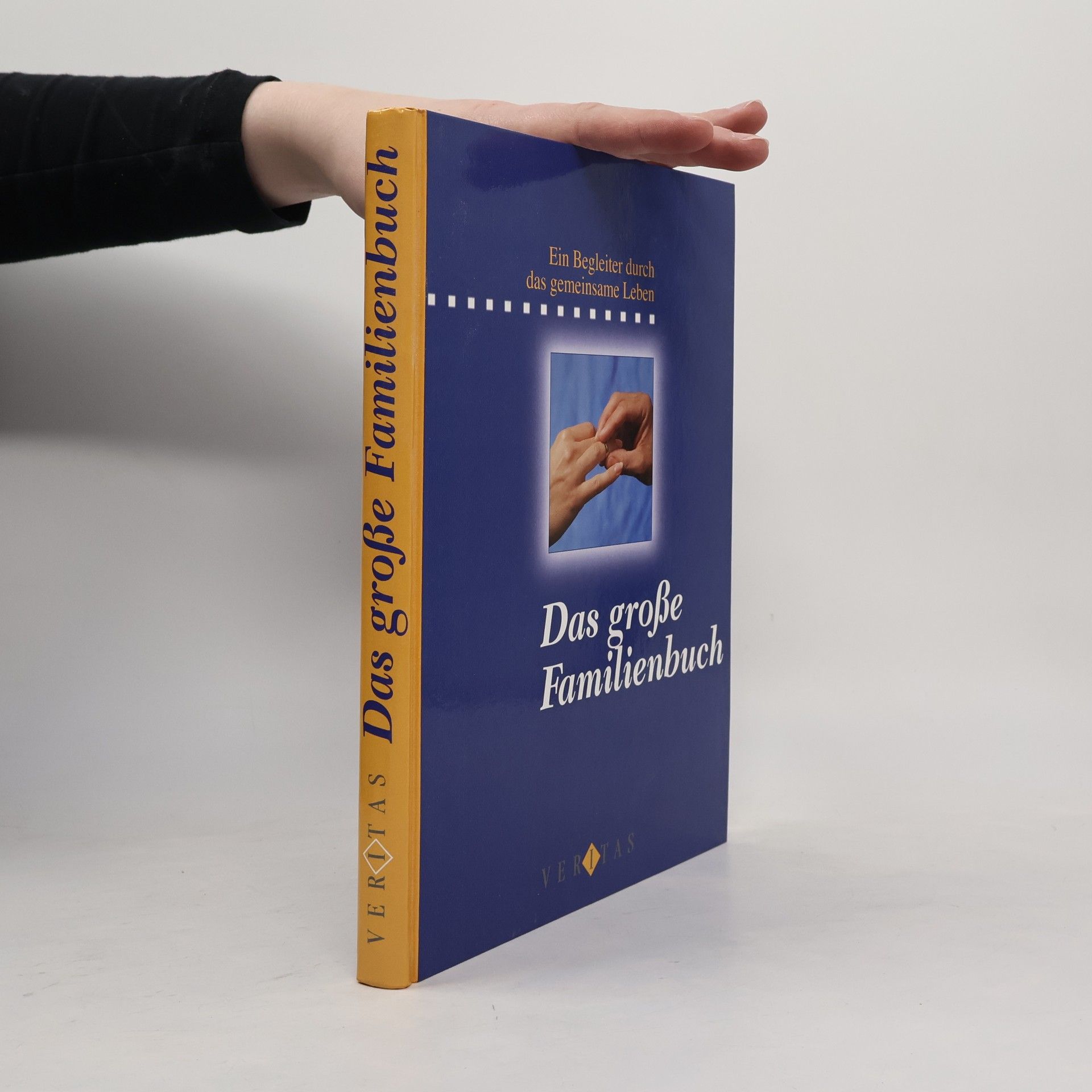 Christine Haiden Das große Familienbuch