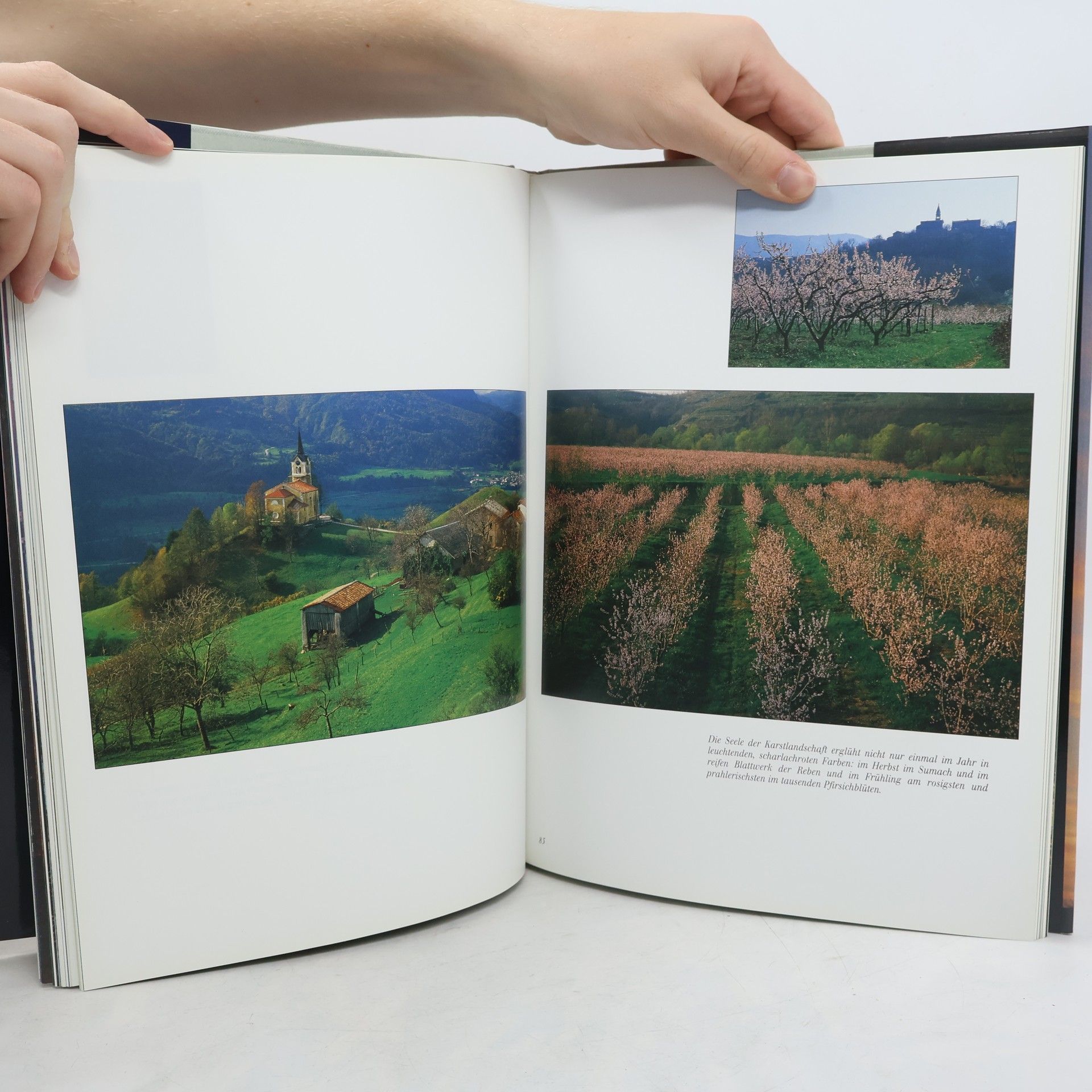 Tone Pavček The Beauty of Slovenia